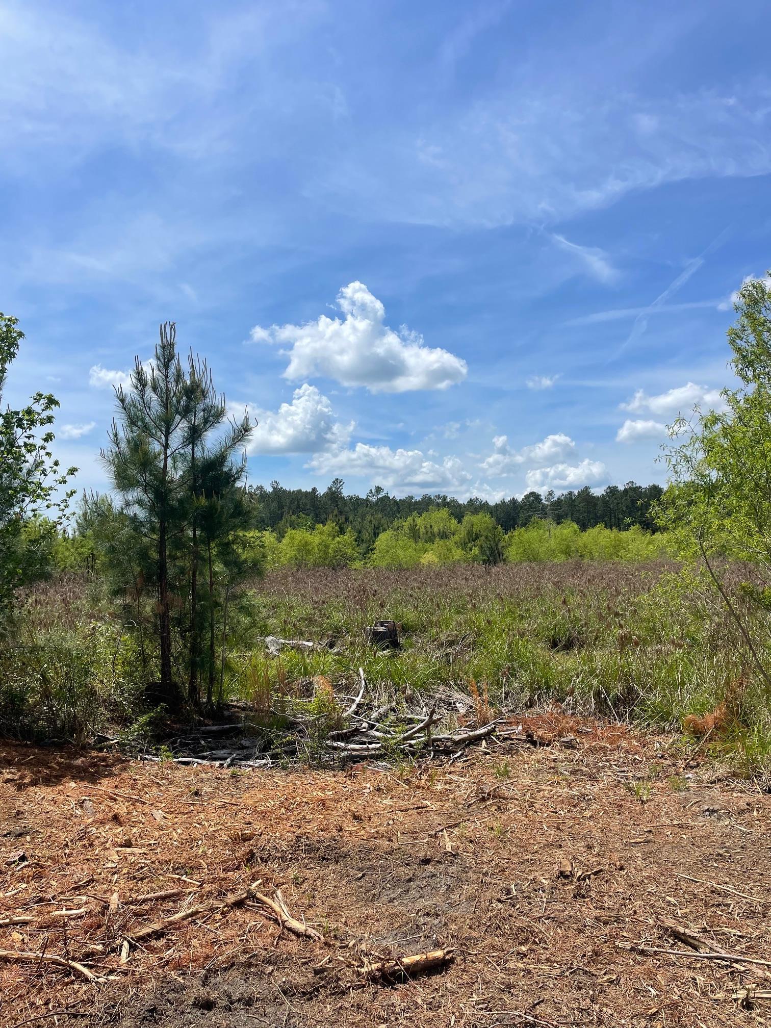 Tbd 30 Ac Rocky Ford Rd. Property Photo 2