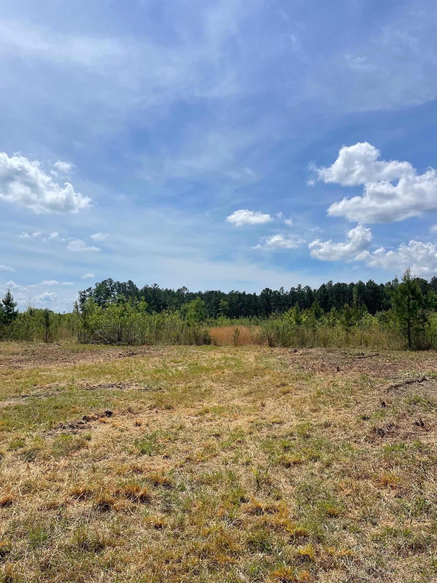 Tbd 30 Ac Rocky Ford Rd. Property Photo 3