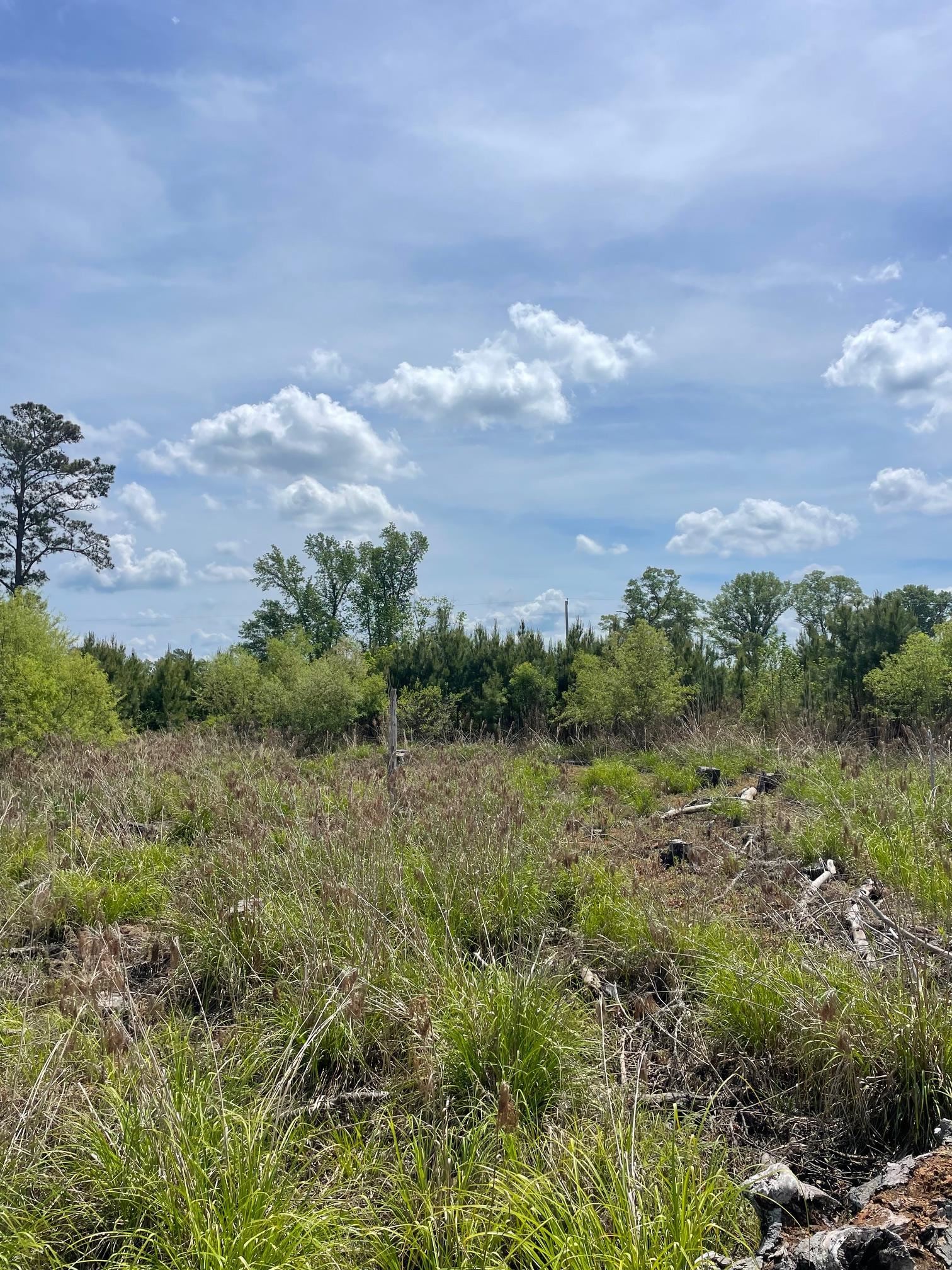 Tbd 30 Ac Rocky Ford Rd. Property Photo 4