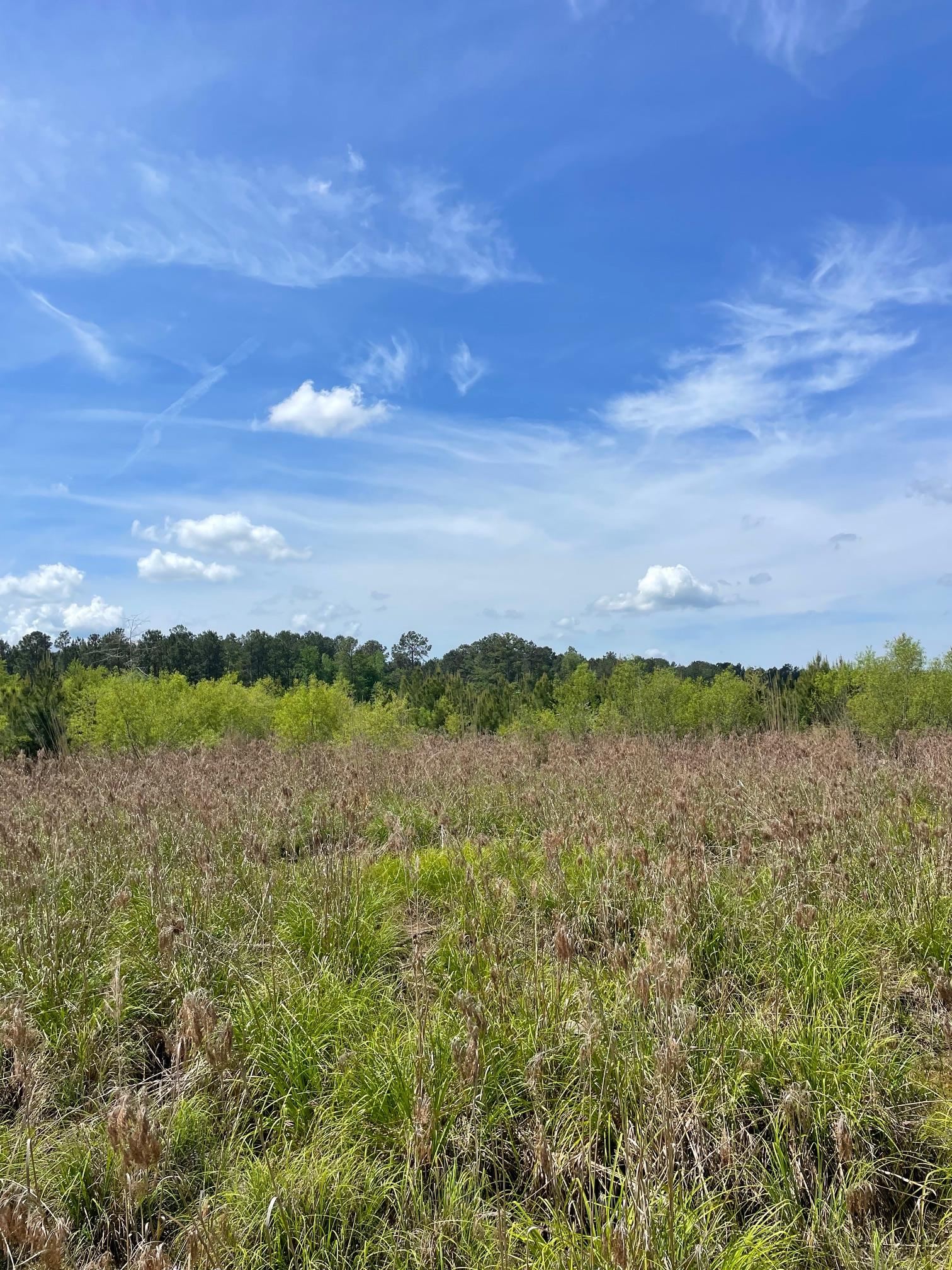 Tbd 30 Ac Rocky Ford Rd. Property Photo 5
