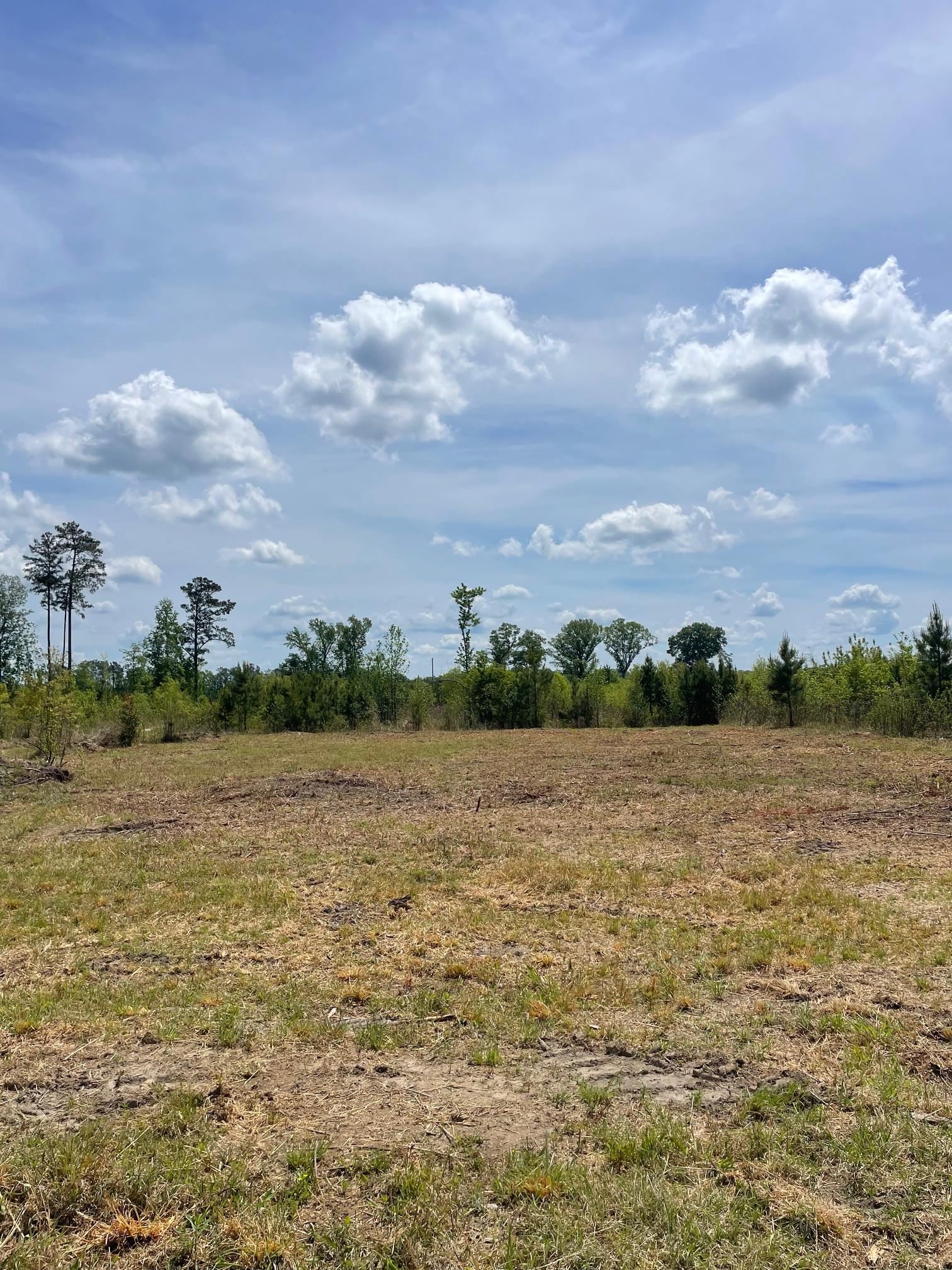 Tbd 30 Ac Rocky Ford Rd. Property Photo 6