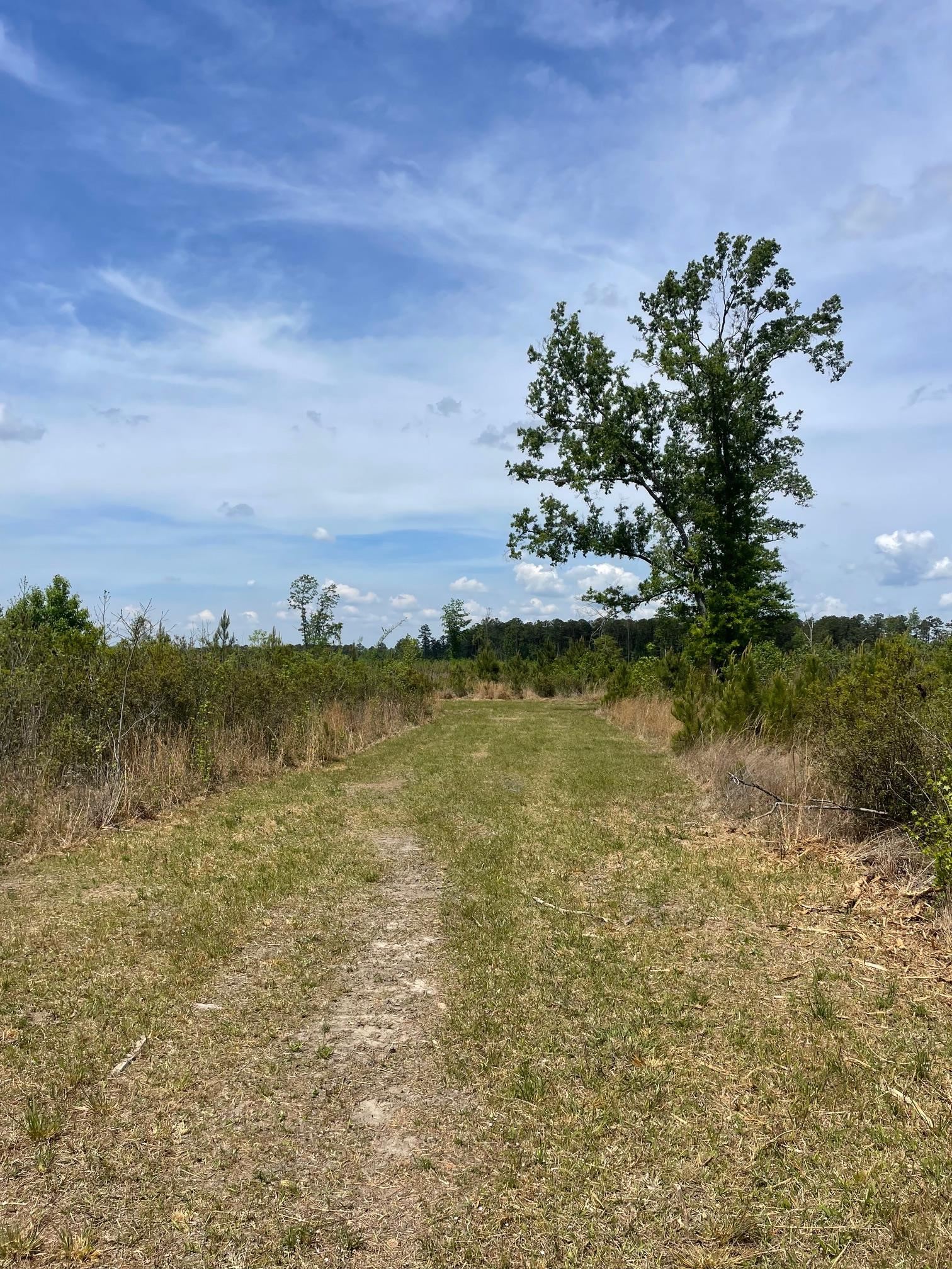 Tbd 30 Ac Rocky Ford Rd. Property Photo 7