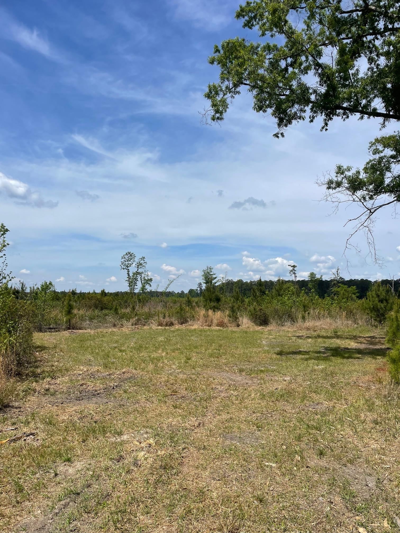 Tbd 30 Ac Rocky Ford Rd. Property Photo 8