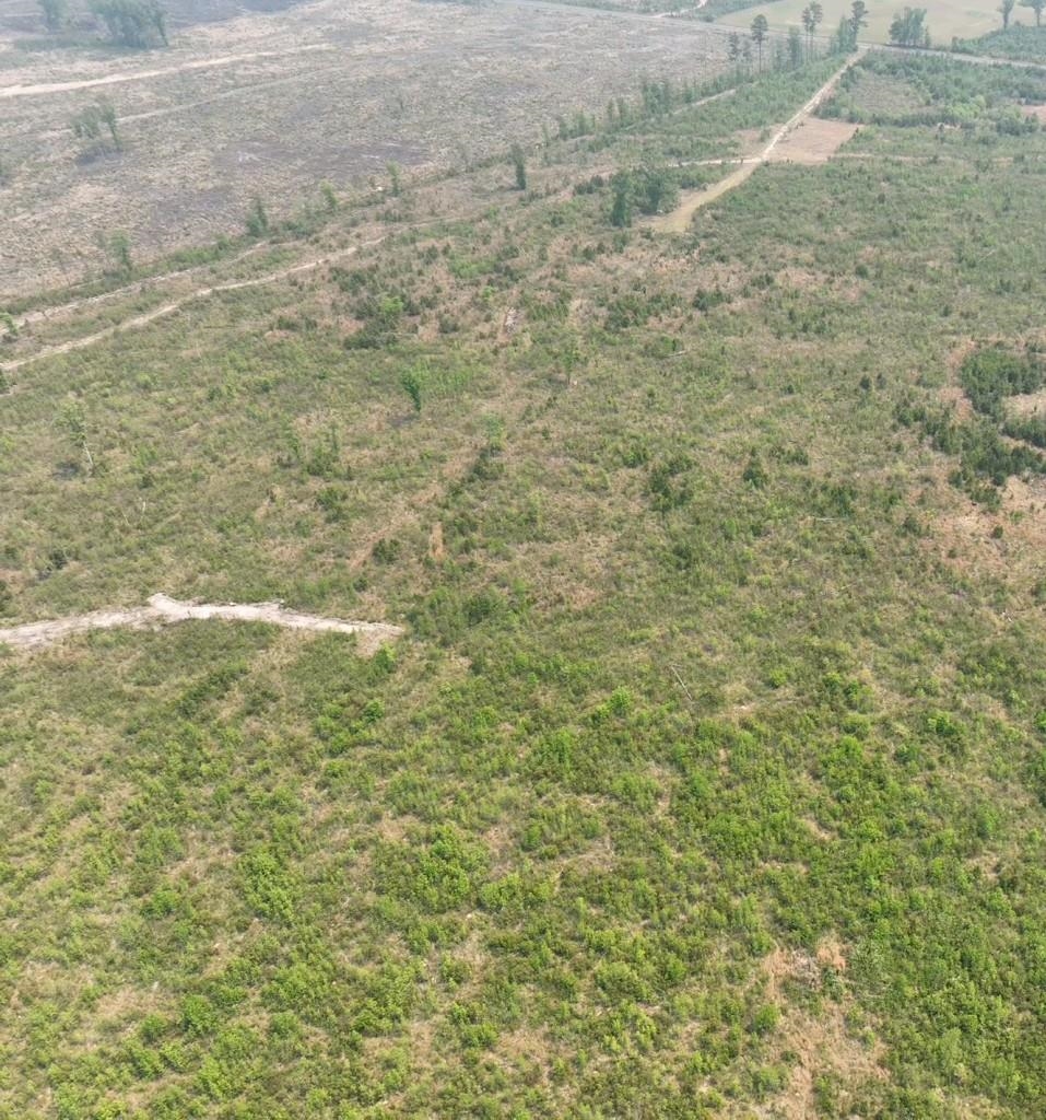 Tbd 30 Ac Rocky Ford Rd. Property Photo 9