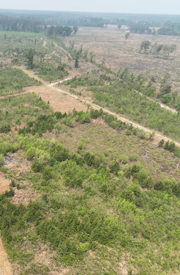 Tbd 30 Ac Rocky Ford Rd. Property Photo 10