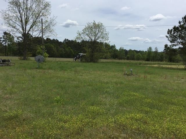 1303 Highway 45 Property Photo 20