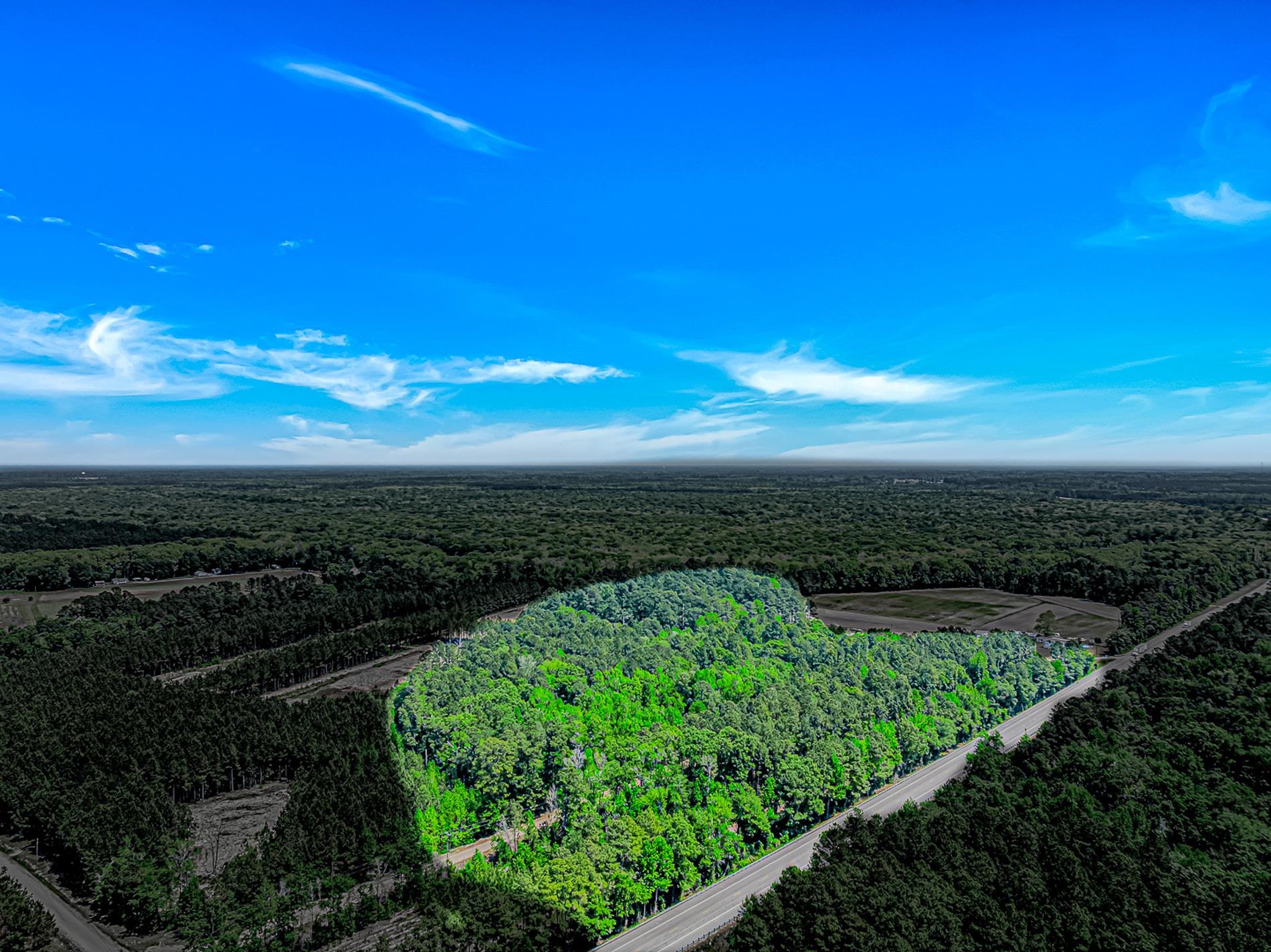 Tbd Piney Grove Church Rd Property Photo 2