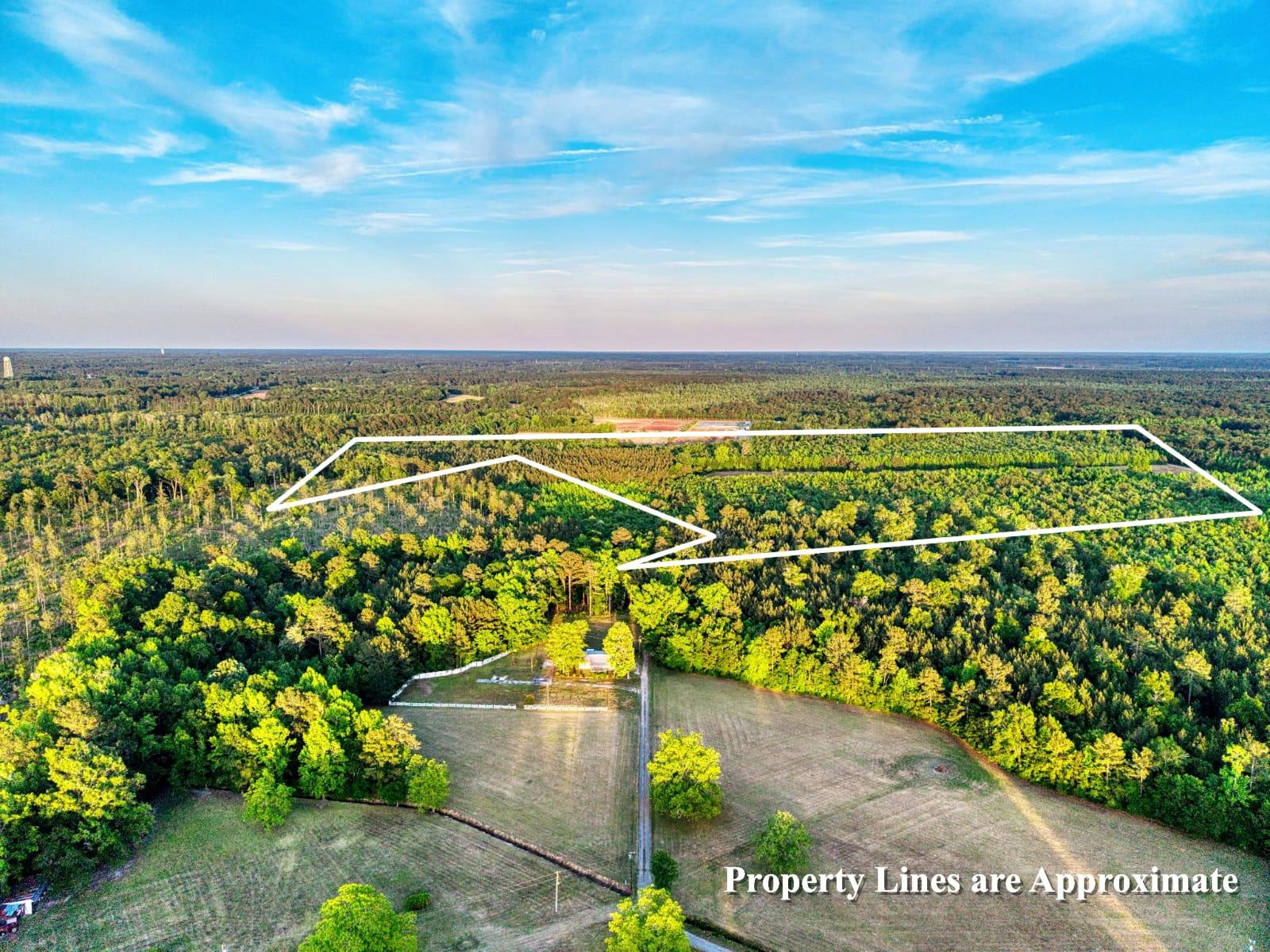 Tbd Carroll Rd. Property Photo 3