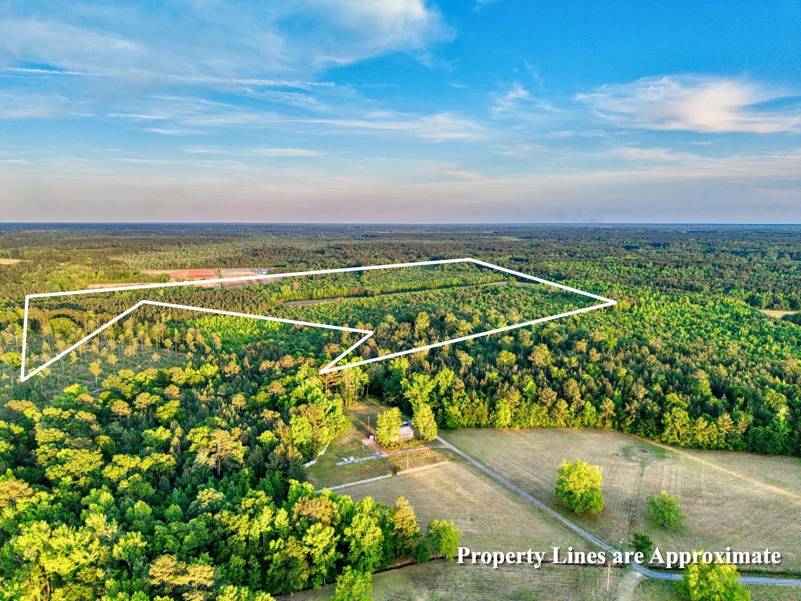 Tbd Carroll Rd. Property Photo 4