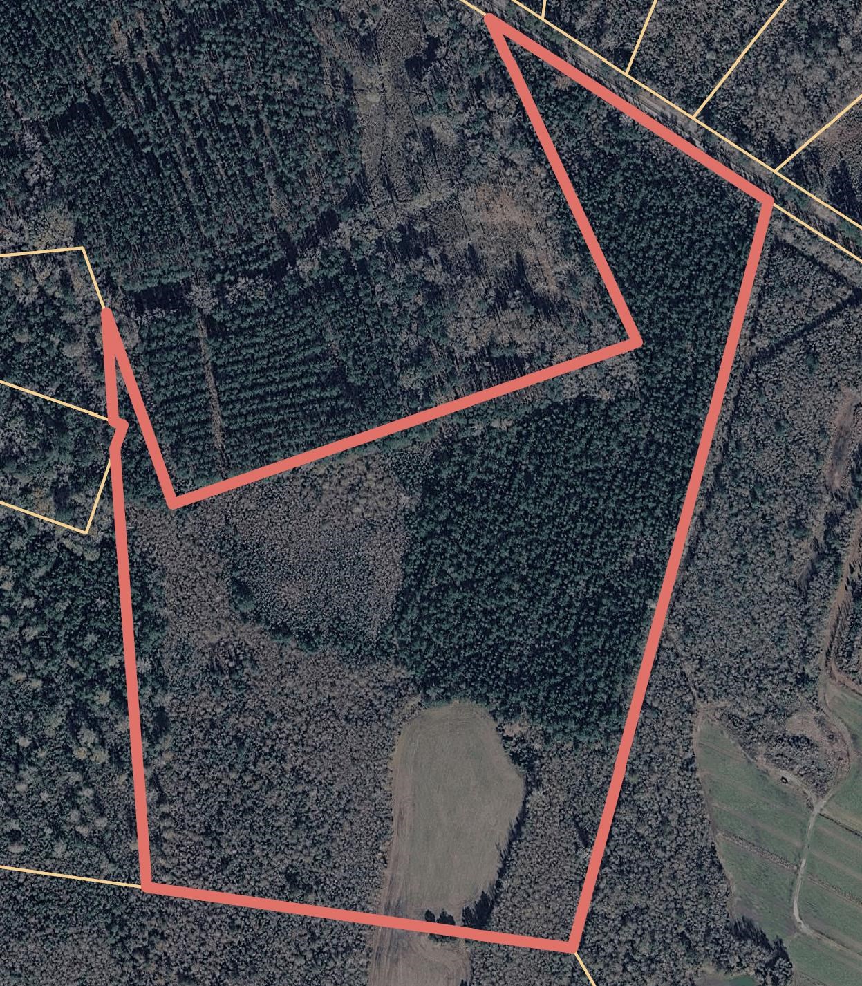 Tbd Carroll Rd. Property Photo 5