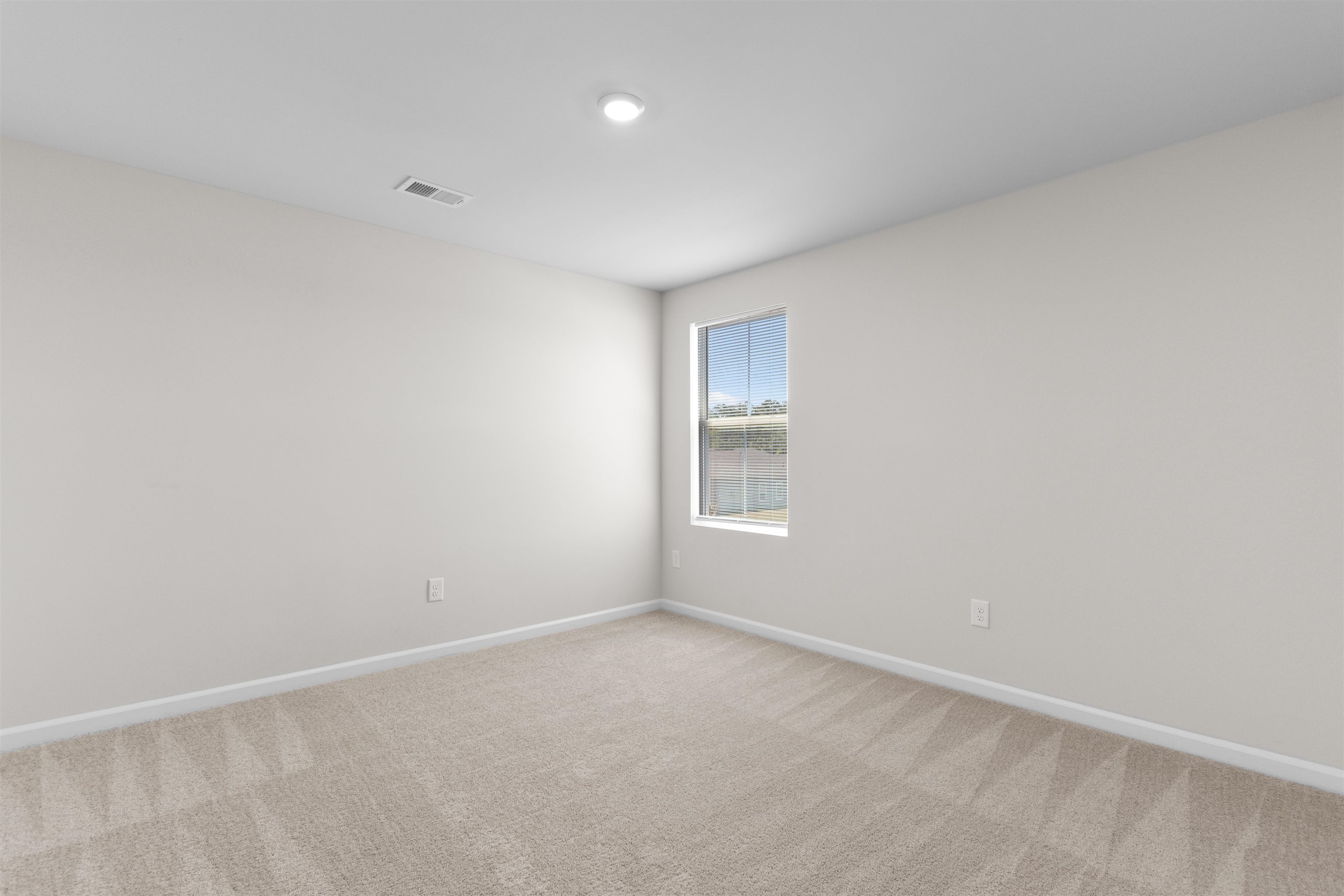 1209 Patchouli Dr. Property Photo 34