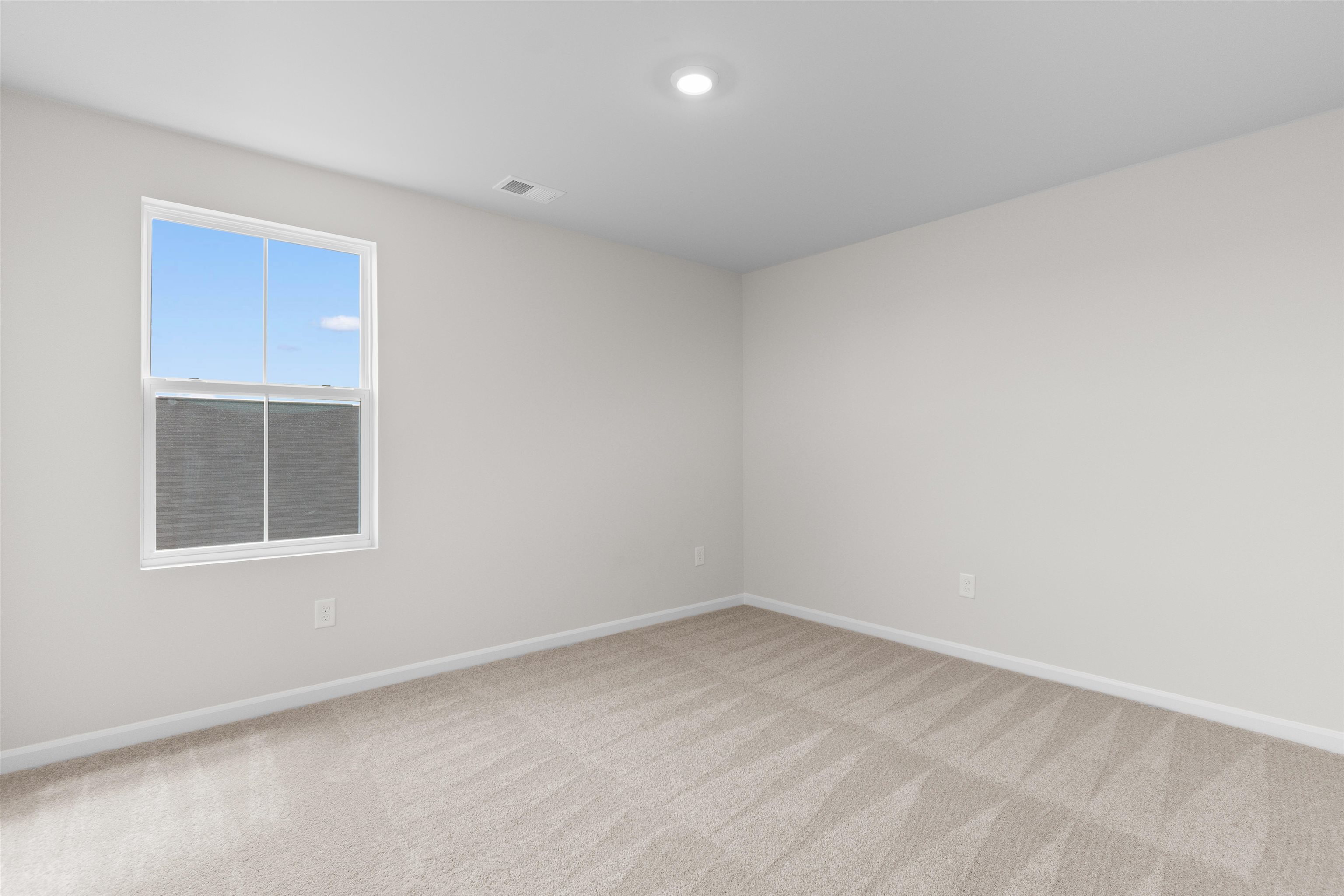 1209 Patchouli Dr. Property Photo 38