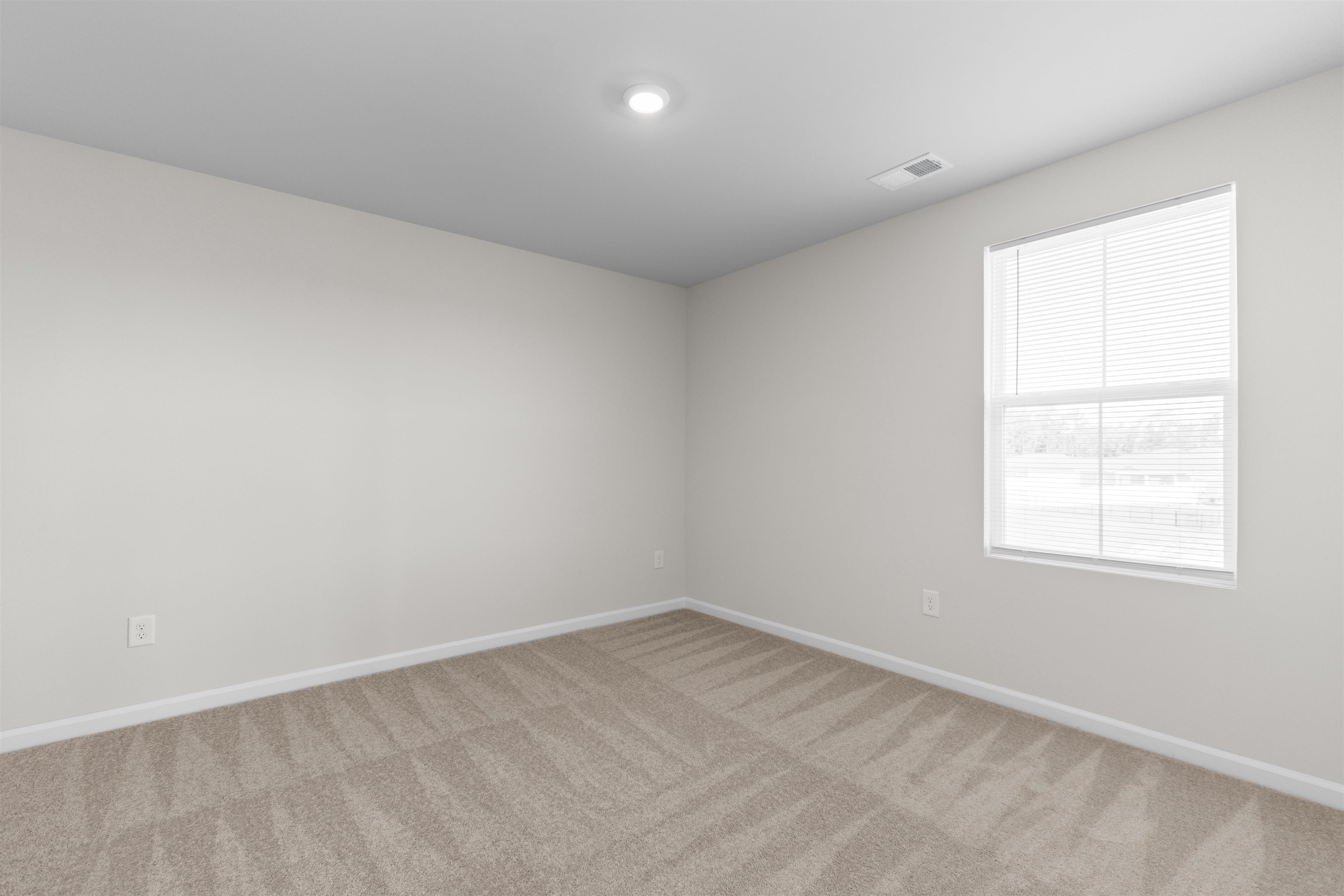 1209 Patchouli Dr. Property Photo 41