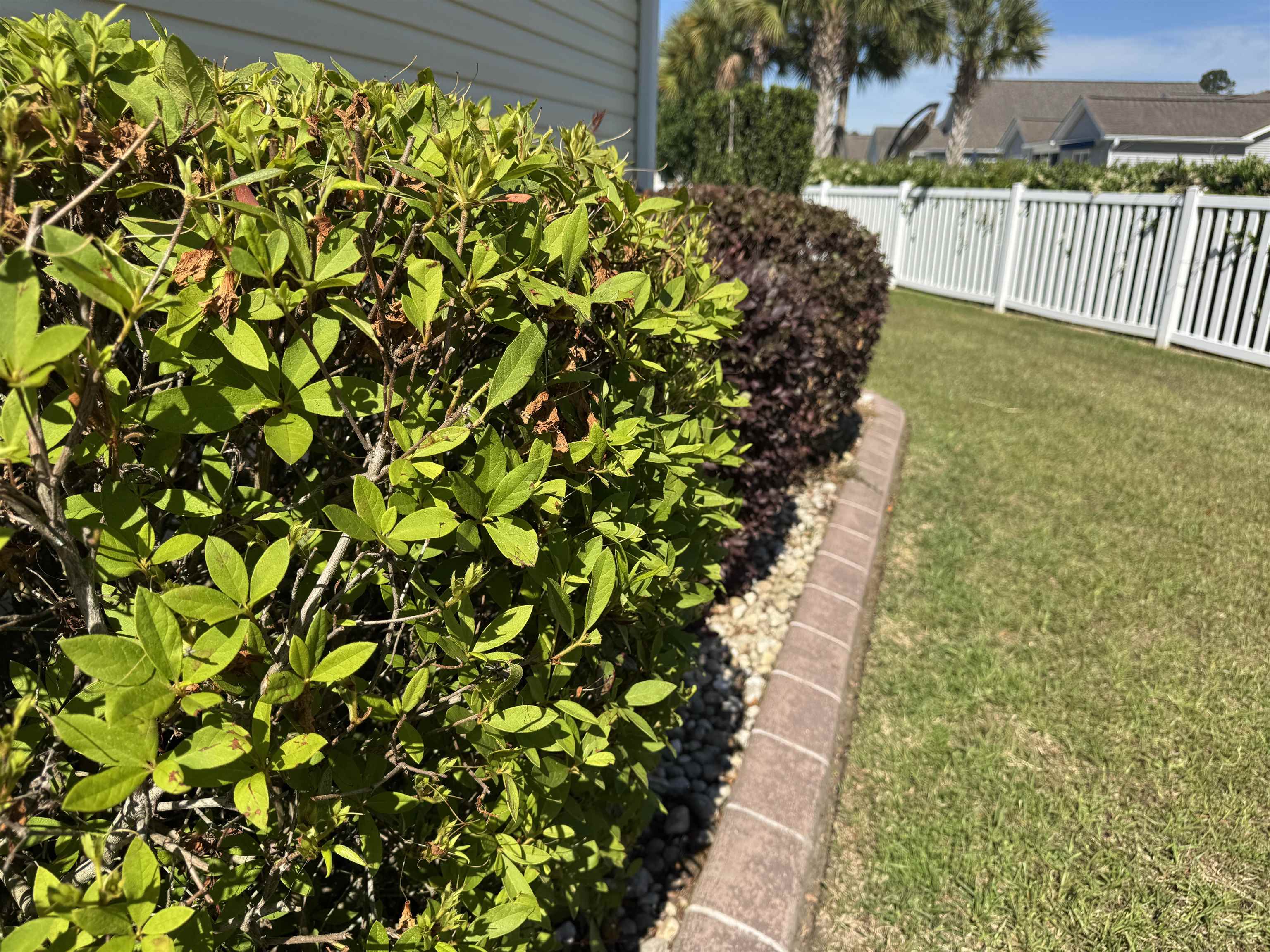293 Southern Breezes Circle Property Photo 43