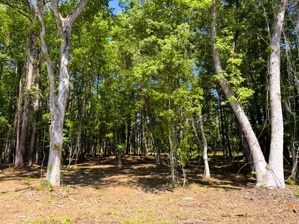 9904 Highway 17 North Property Photo 2