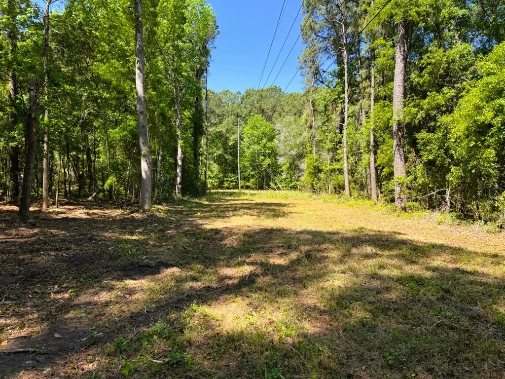 9904 Highway 17 North Property Photo 5