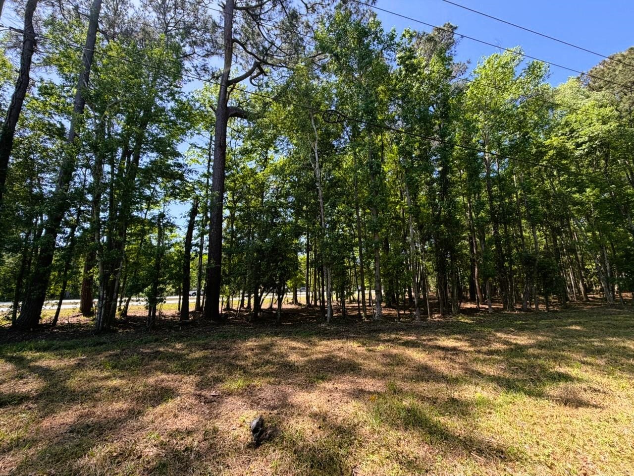 9904 Highway 17 North Property Photo 7