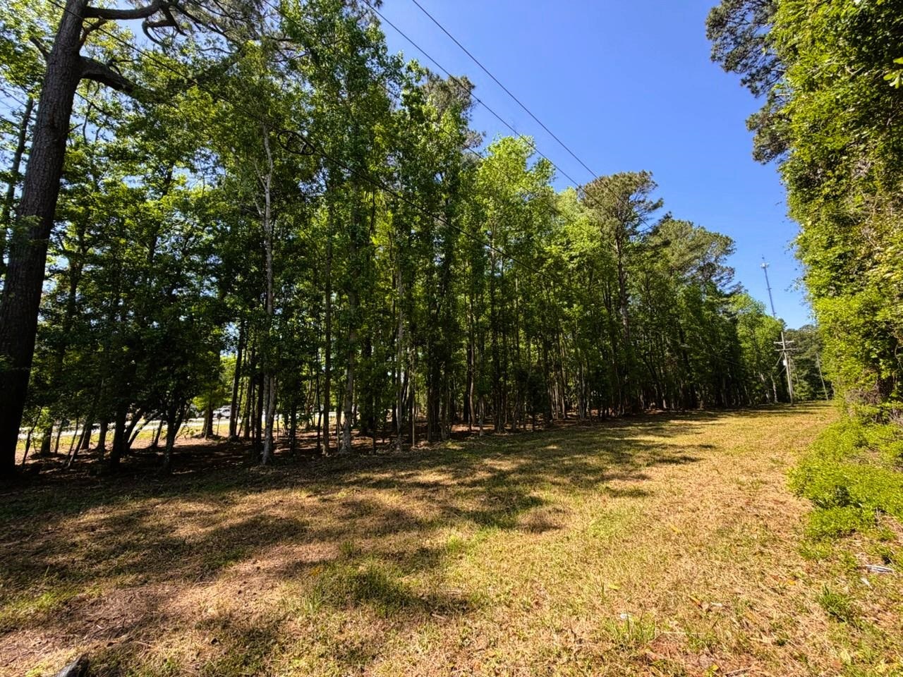 9904 Highway 17 North Property Photo 8