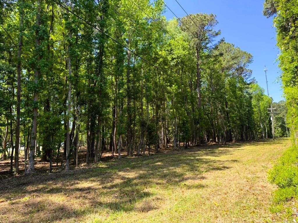 9904 Highway 17 North Property Photo 9