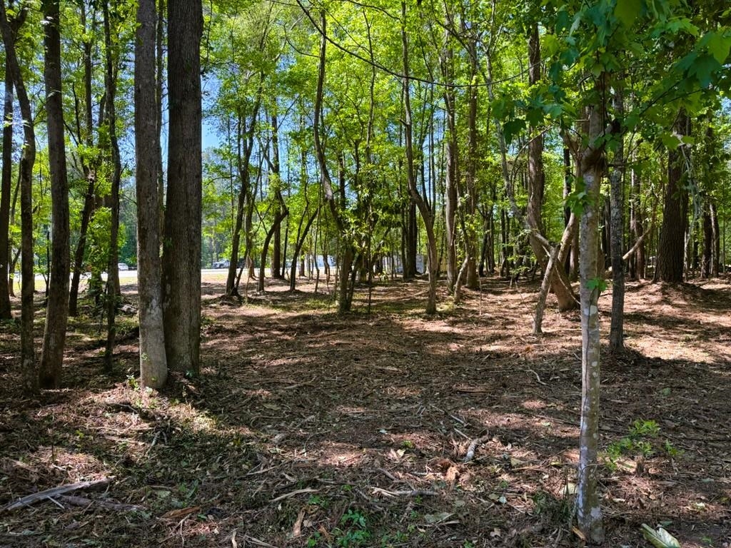 9904 Highway 17 North Property Photo 12