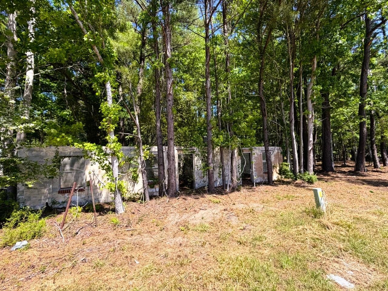 9904 Highway 17 North Property Photo 14
