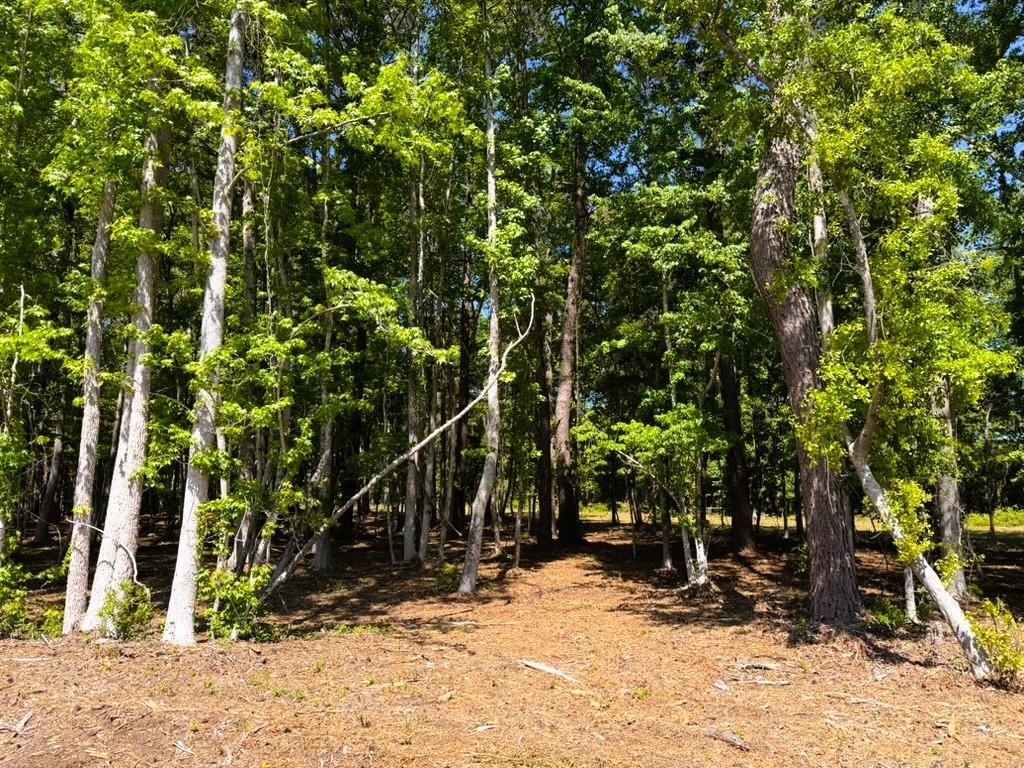 9904 Highway 17 North Property Photo 15