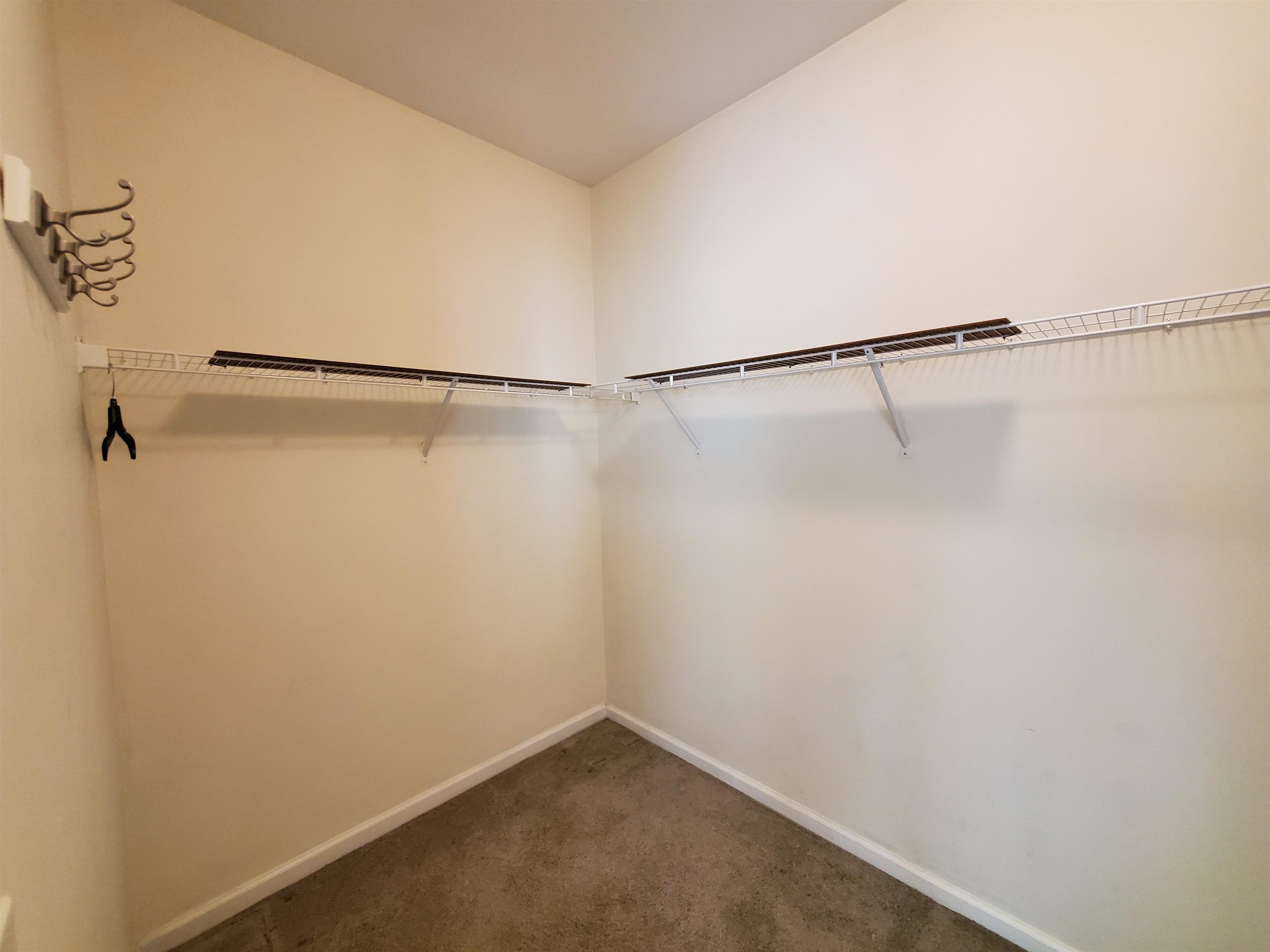204 Chesterfield Ct. Property Photo 29