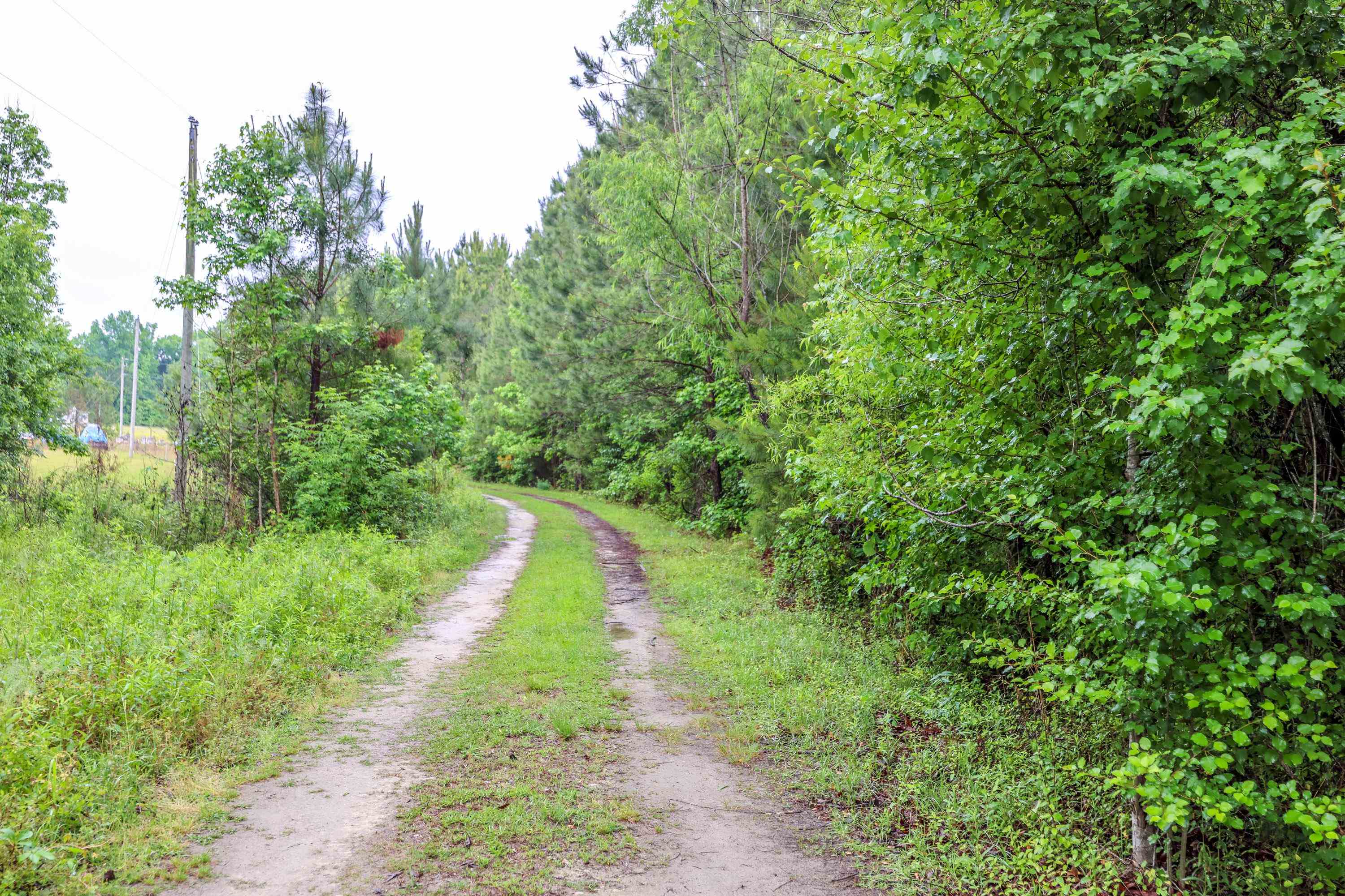 581 Roberts Rd. Property Photo 5
