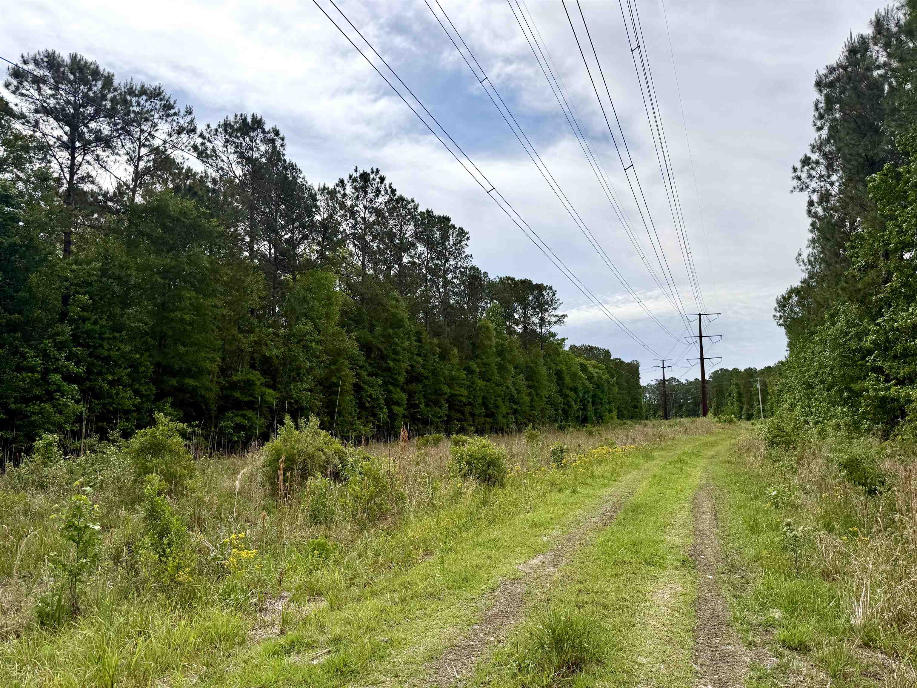 Tract A - Tbd Pennyroyal Rd. Property Photo 2