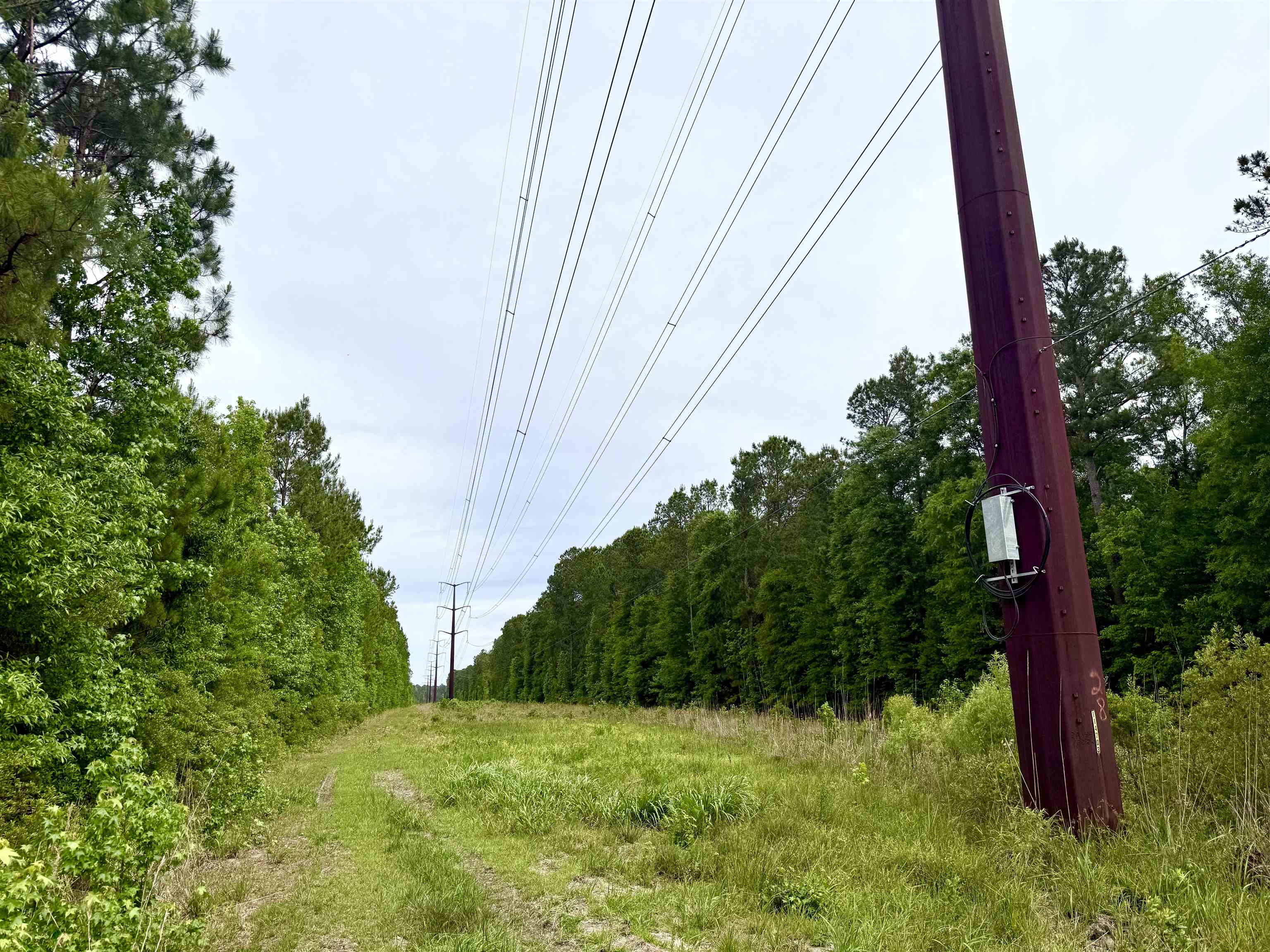 Tract A - Tbd Pennyroyal Rd. Property Photo 3