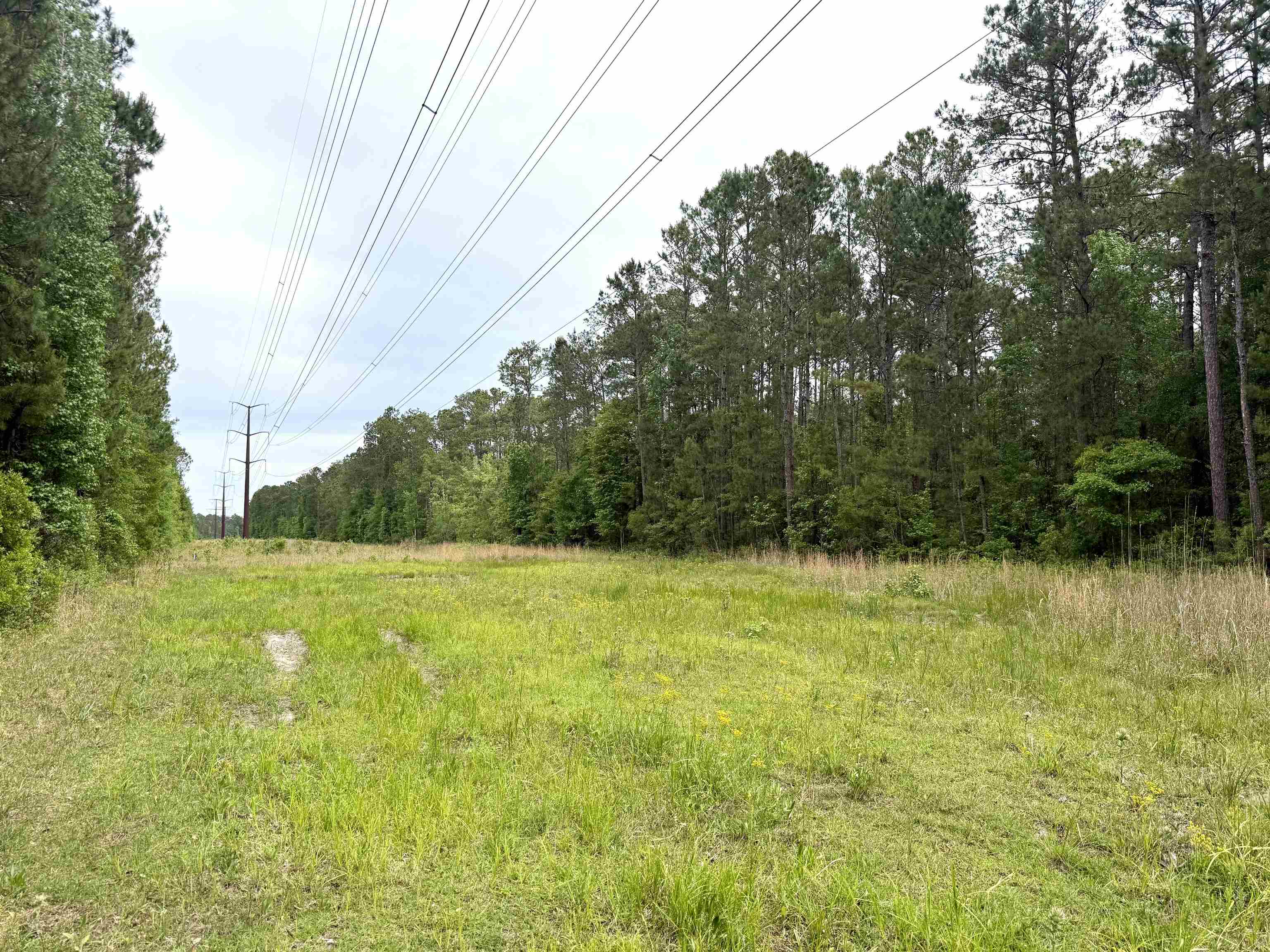 Tract A - Tbd Pennyroyal Rd. Property Photo 4
