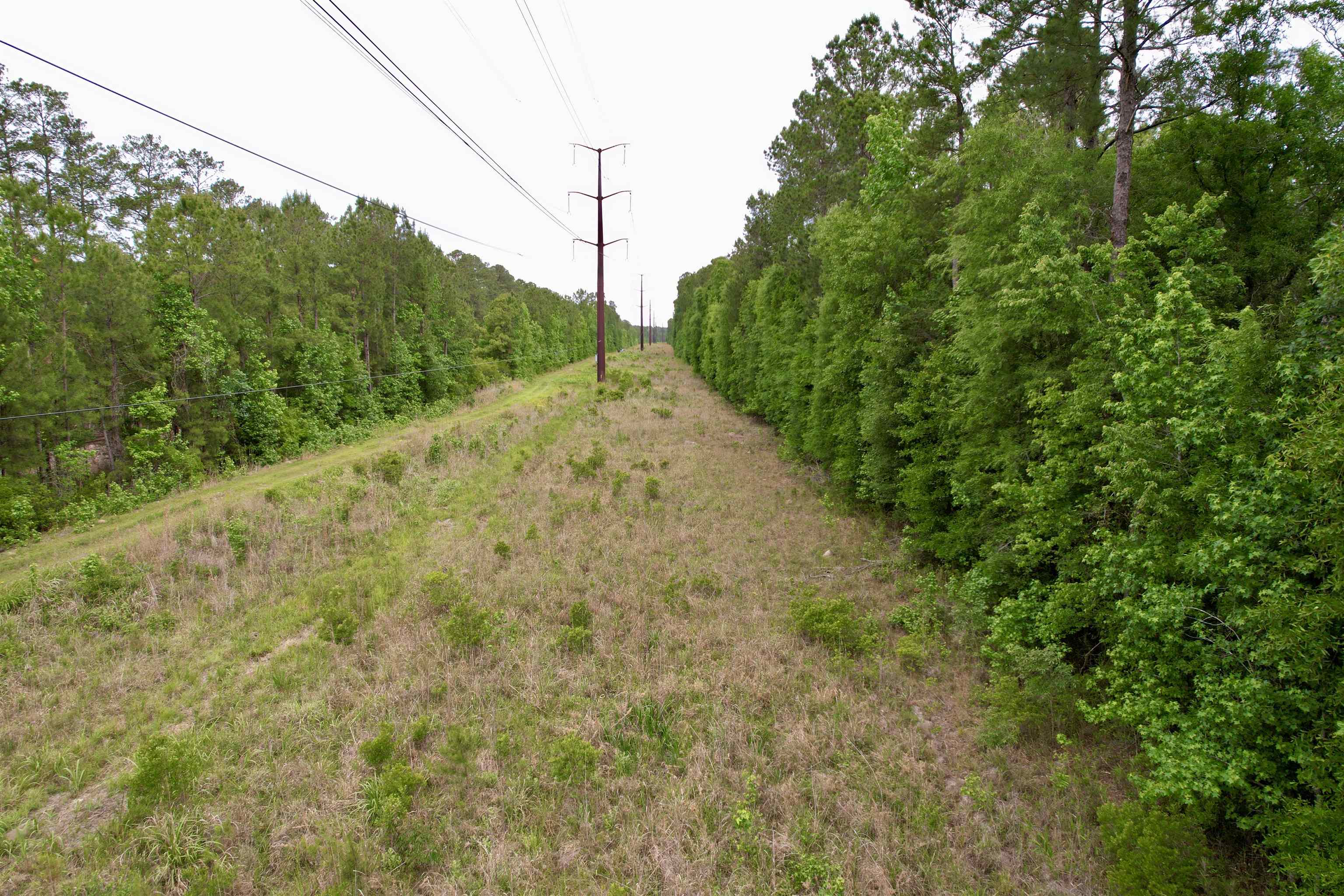 Tract A - Tbd Pennyroyal Rd. Property Photo 11