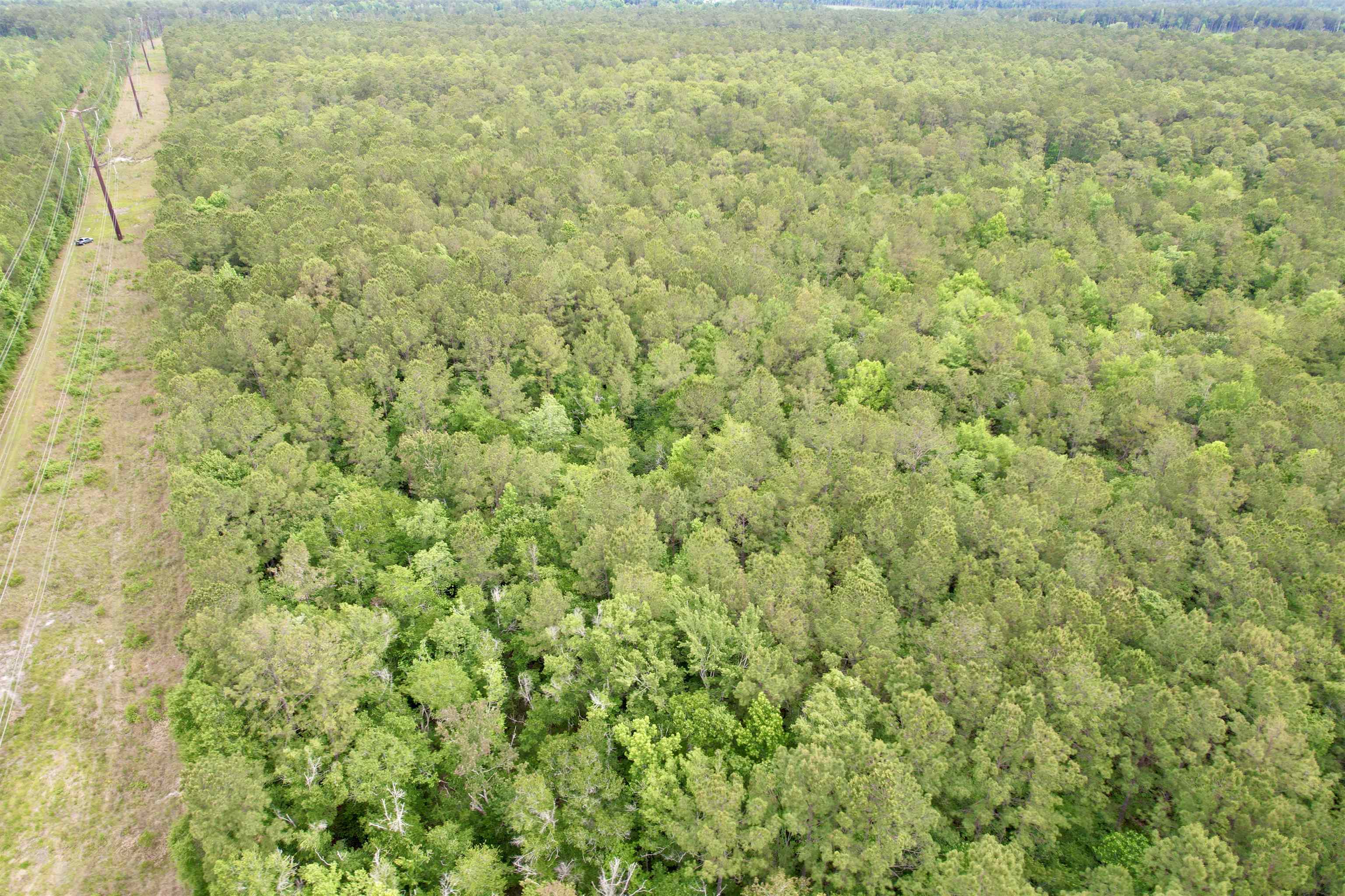 Tract A - Tbd Pennyroyal Rd. Property Photo 12