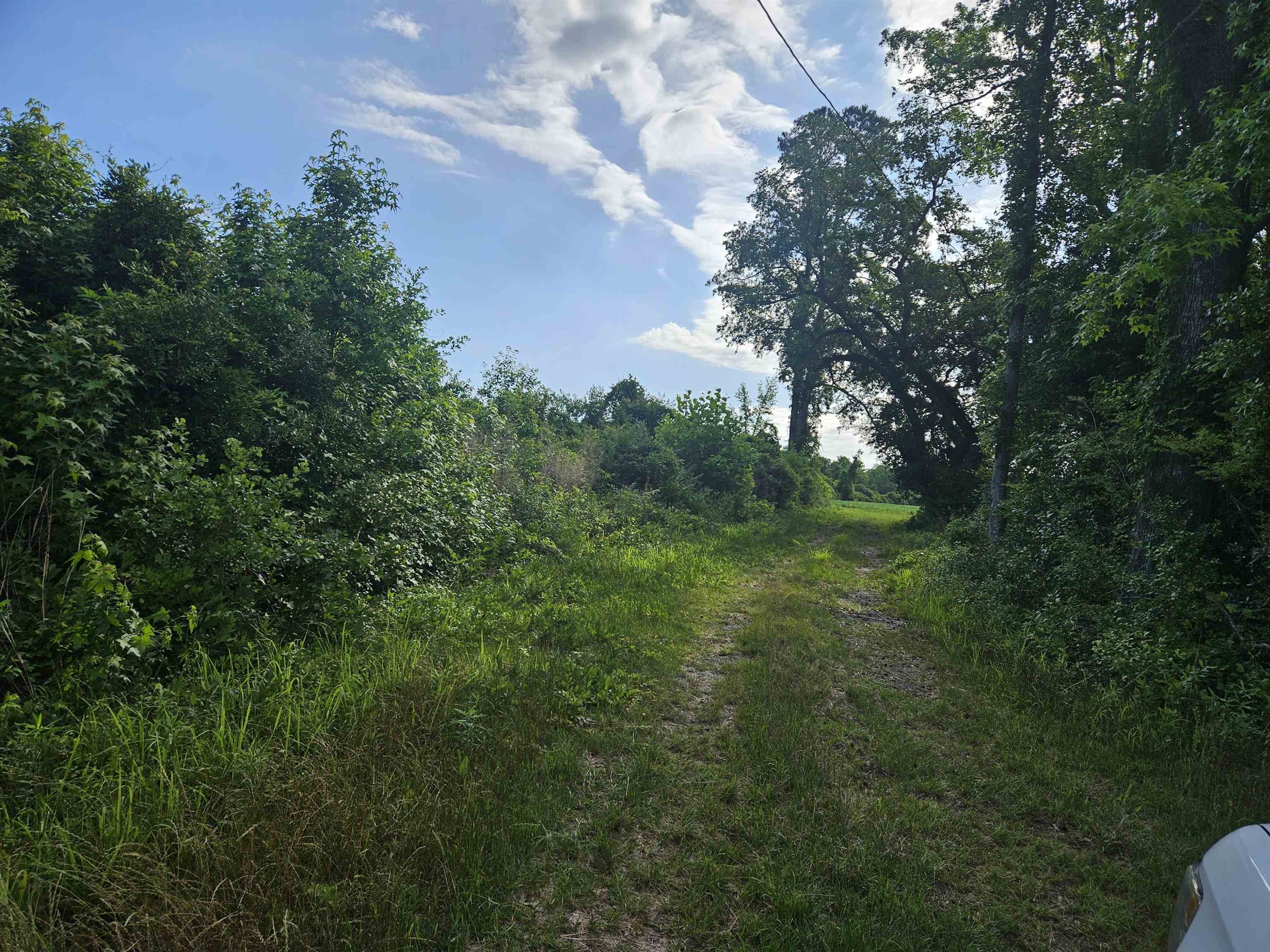 40ac Willoughby Rd. Property Photo 2