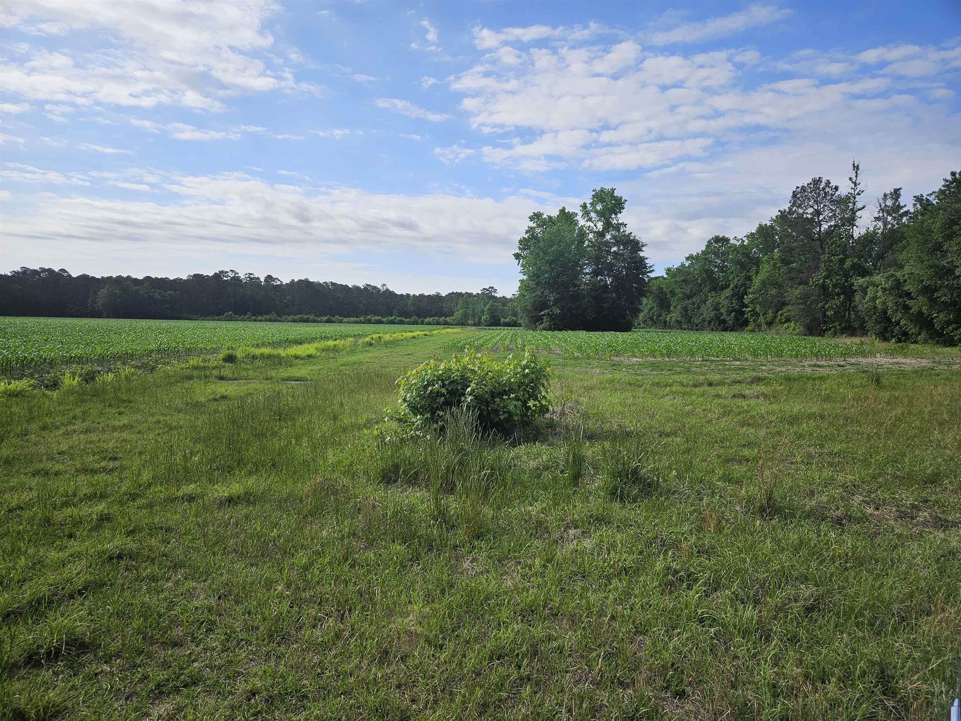 40ac Willoughby Rd. Property Photo 3