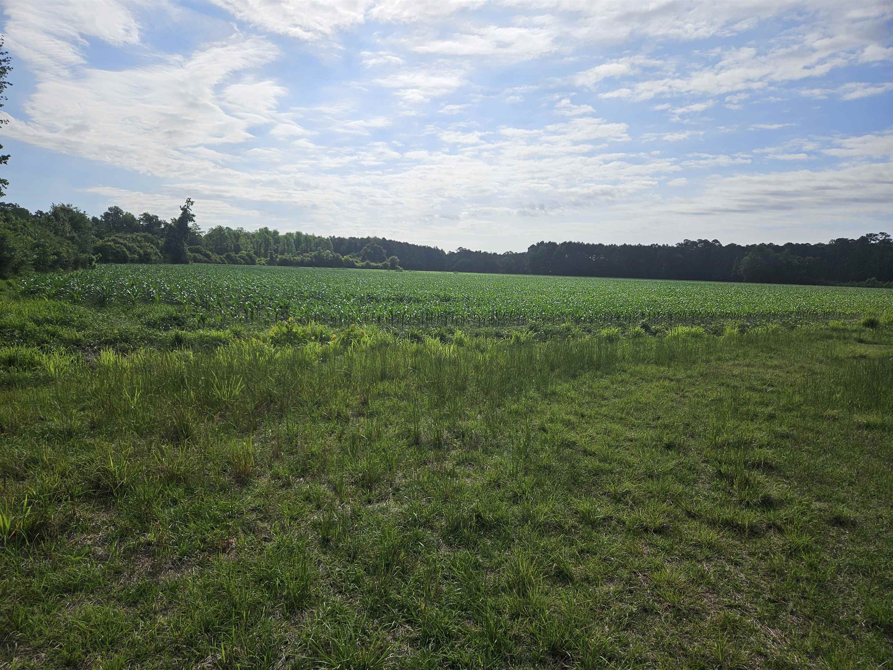 40ac Willoughby Rd. Property Photo 1