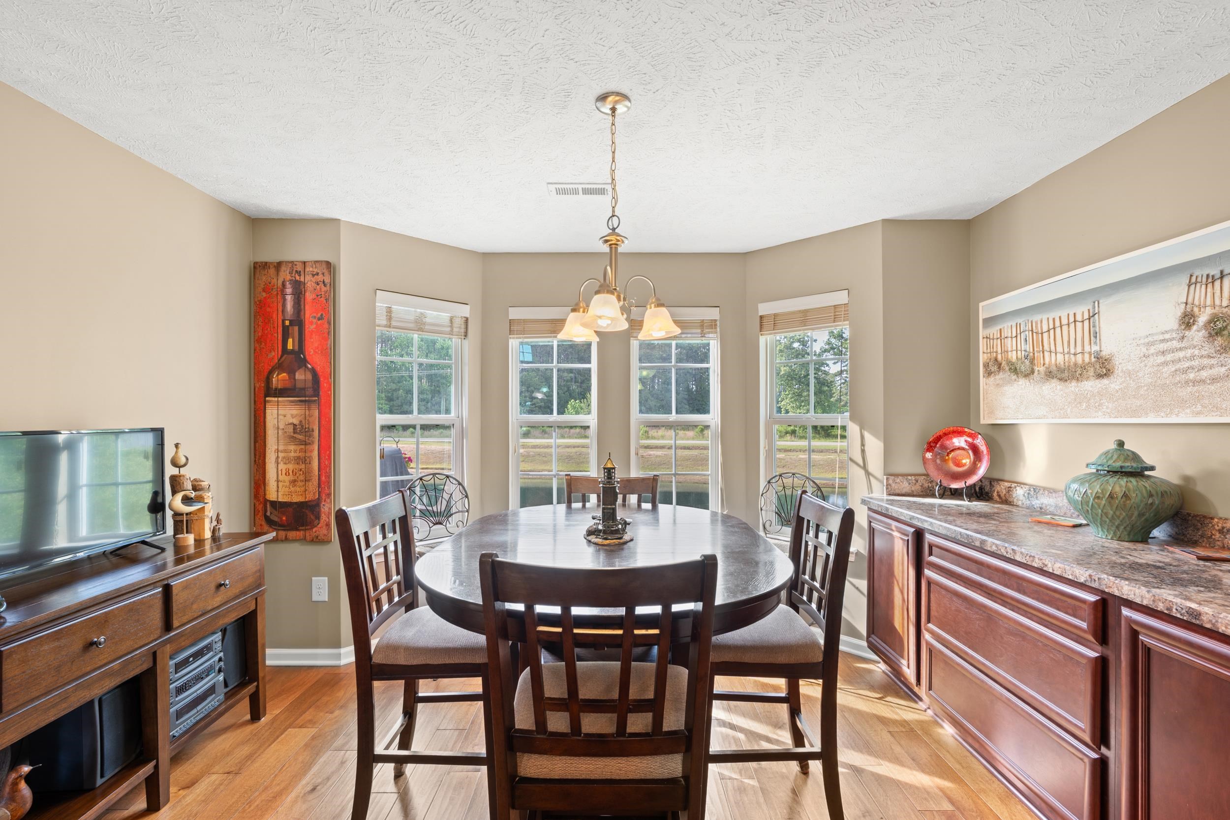 247 Hickory Springs Ct. Property Photo 17