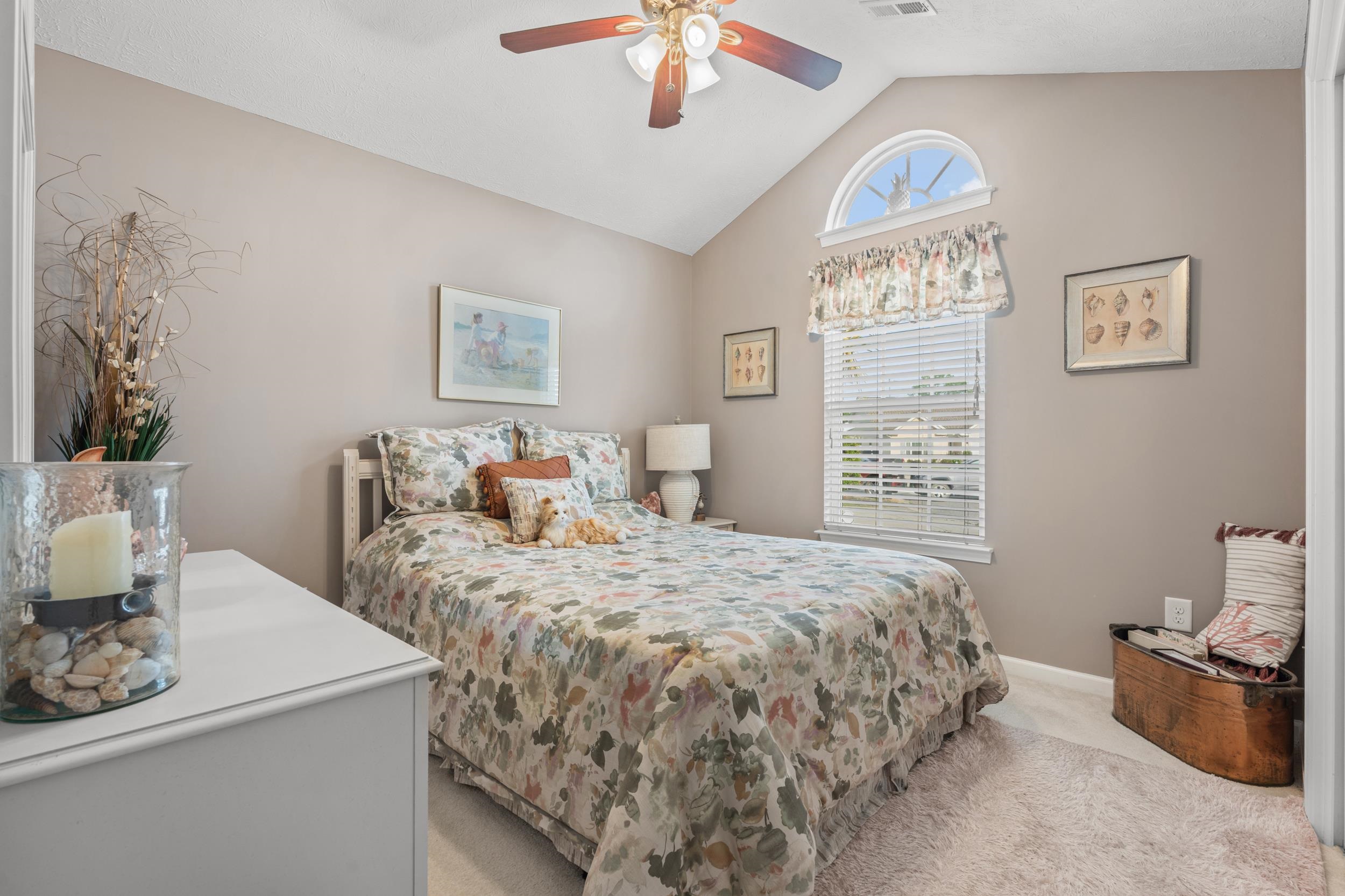 247 Hickory Springs Ct. Property Photo 22