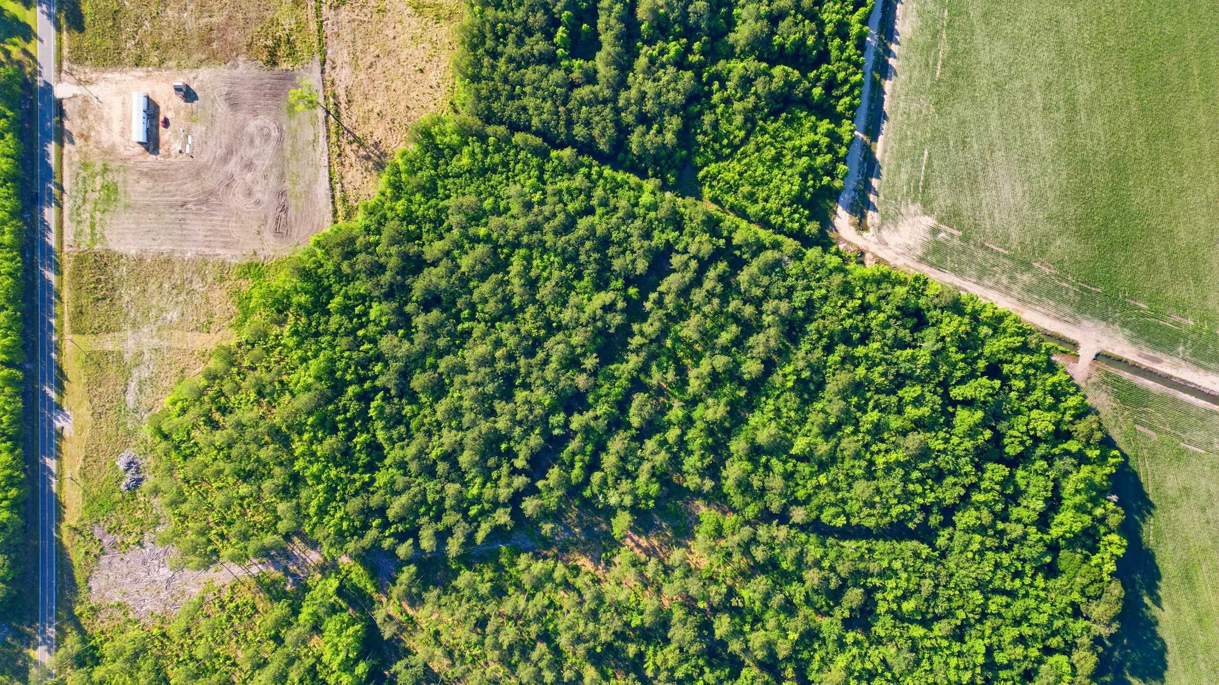 Tbd Sawyer Rd. Property Photo 3