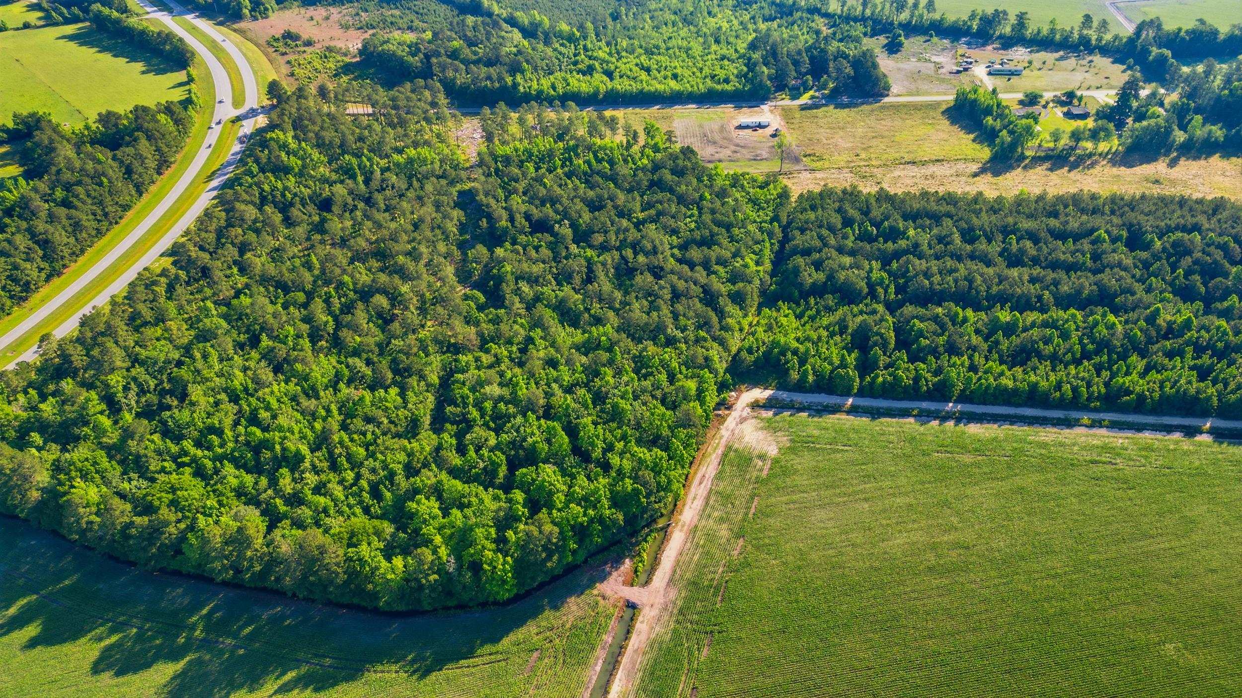 Tbd Sawyer Rd. Property Photo 5