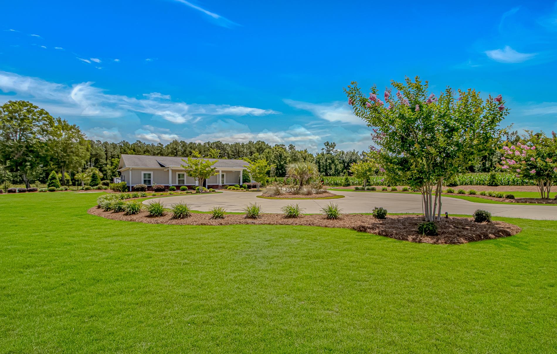 15810 County Line Rd. Property Photo 3