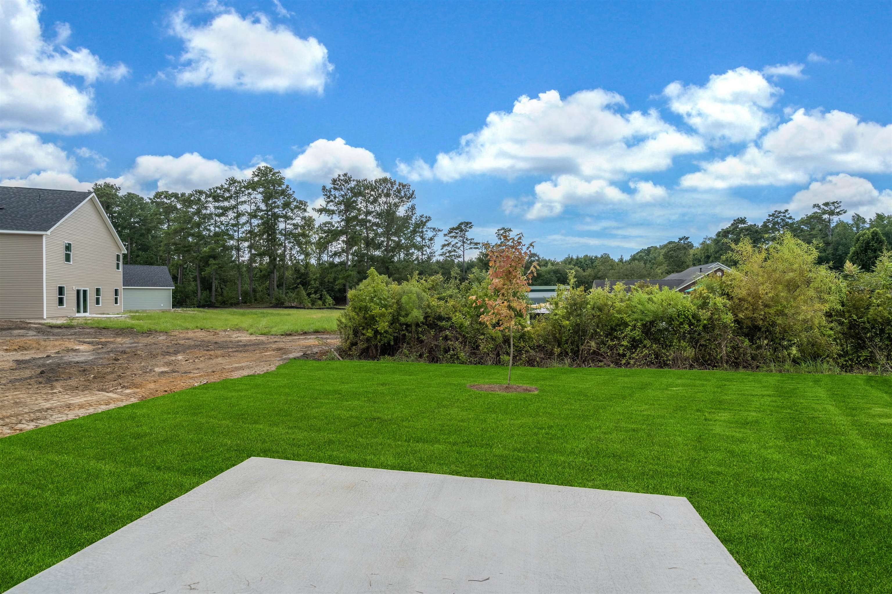 1068 Cherrystone Loop Property Photo 5