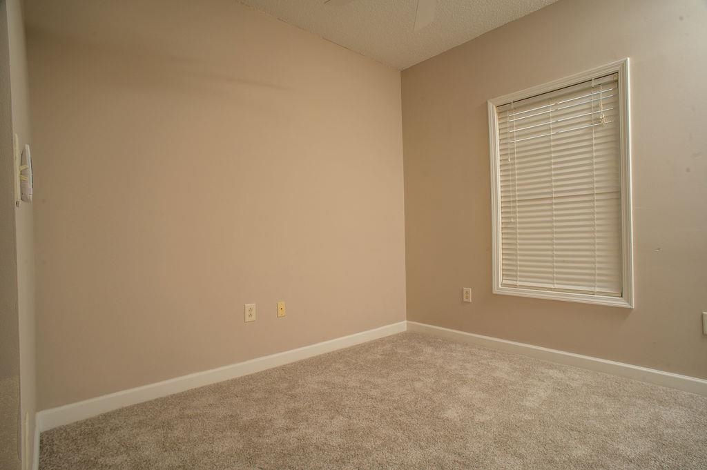 300 Kiskadee Loop Property Photo 23