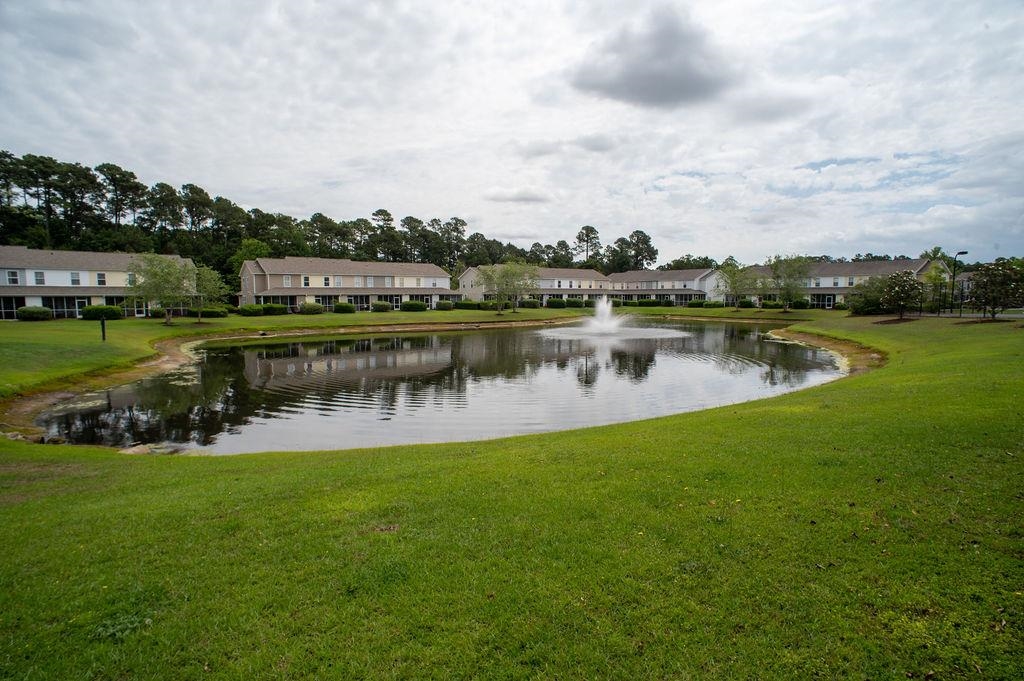 300 Kiskadee Loop Property Photo 76