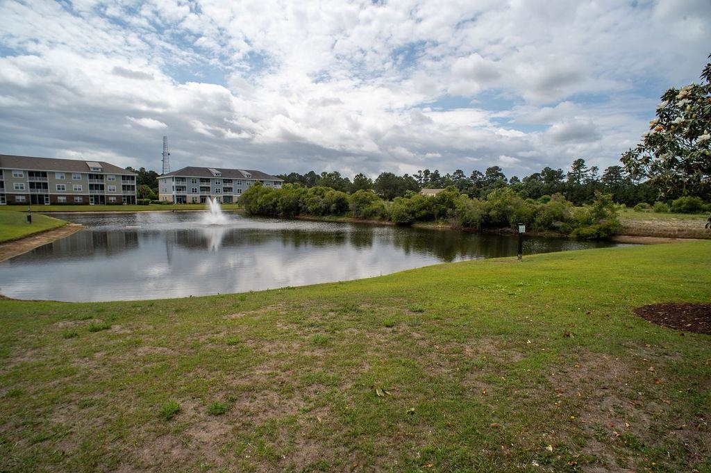 300 Kiskadee Loop Property Photo 84