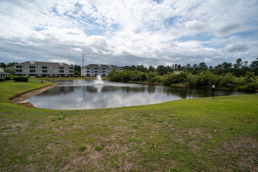 300 Kiskadee Loop Property Photo 85