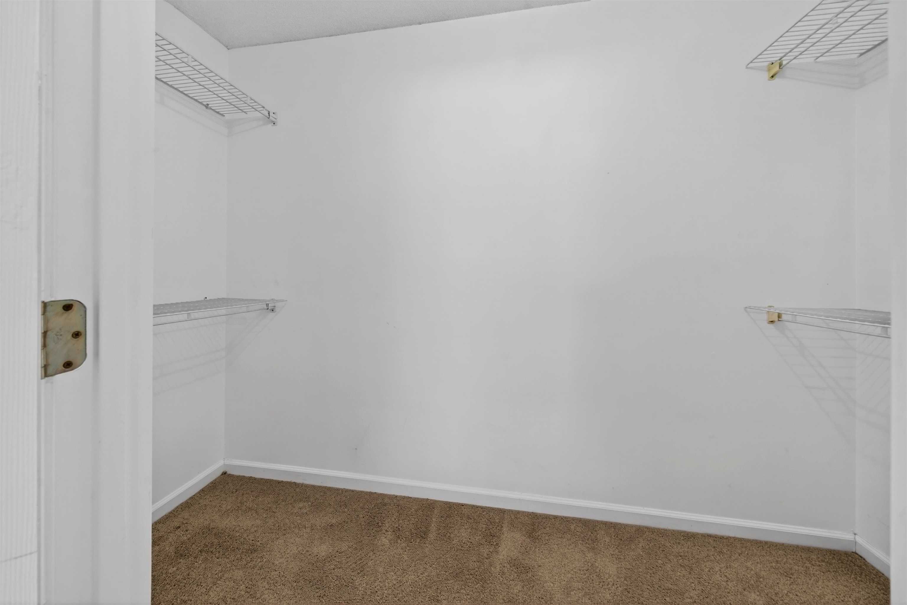 3821 Myrtle Pointe Dr. Property Photo 33