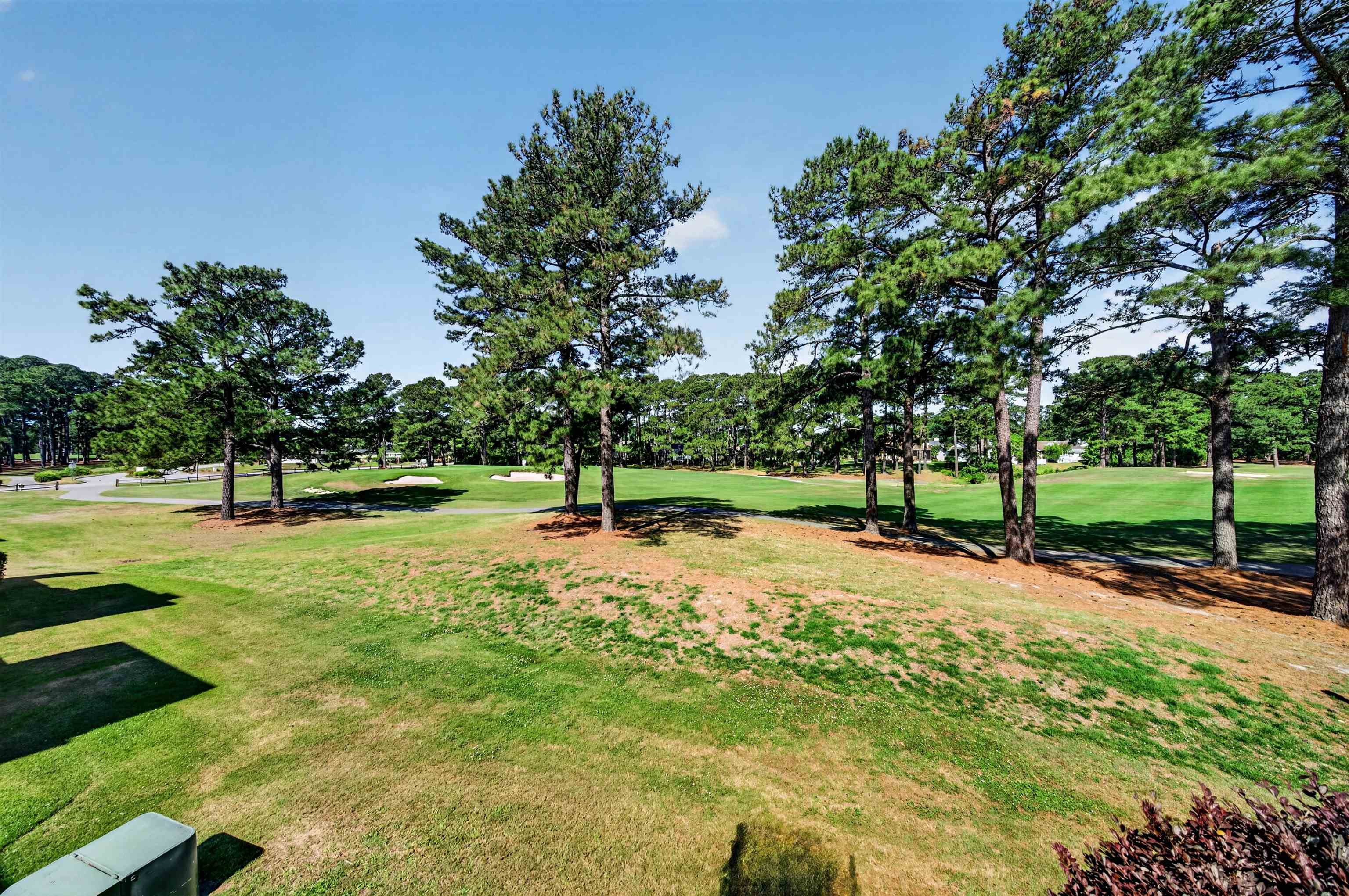 3821 Myrtle Pointe Dr. Property Photo 54