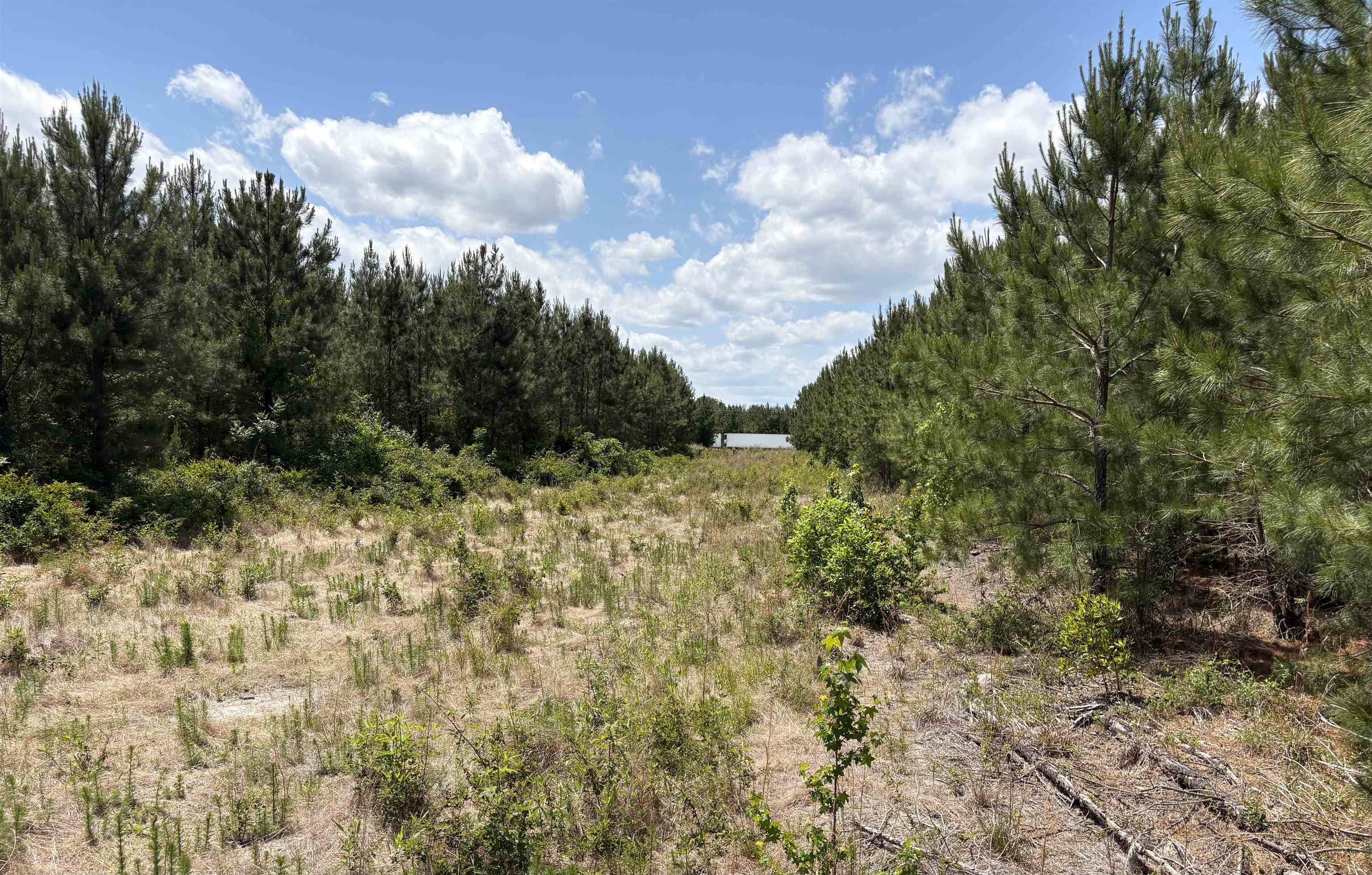 Highway 501 Bypass Property Photo 4