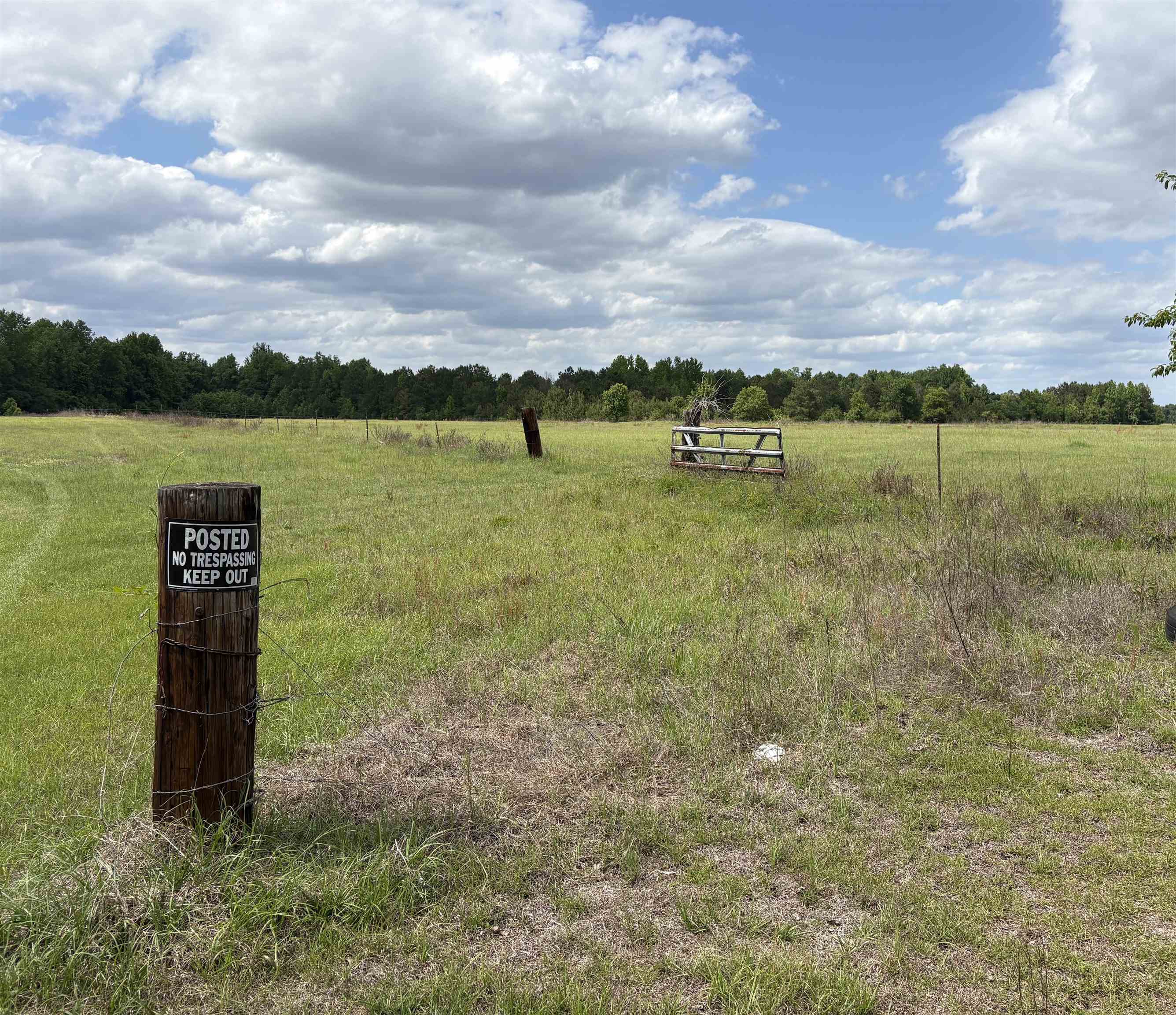 Grady Rd. Property Photo 3